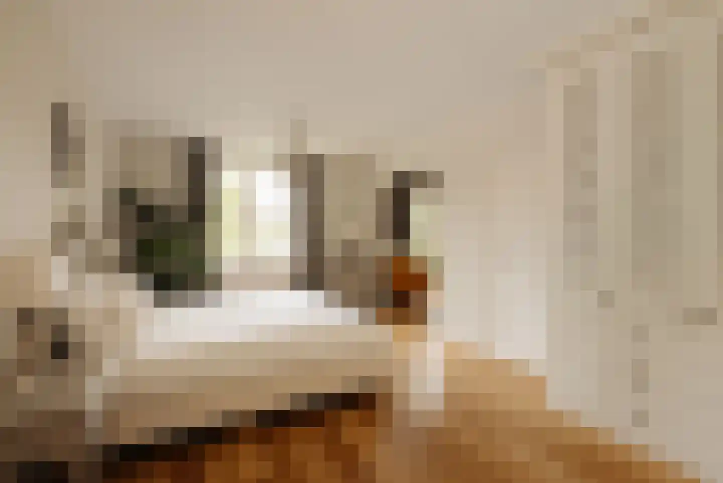 Duinweg 66 Schoorl thumbnail 13