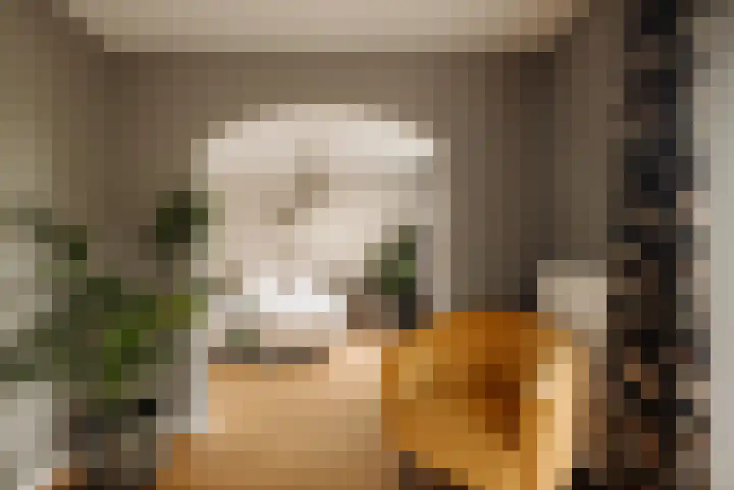 Duinweg 66 Schoorl thumbnail 14