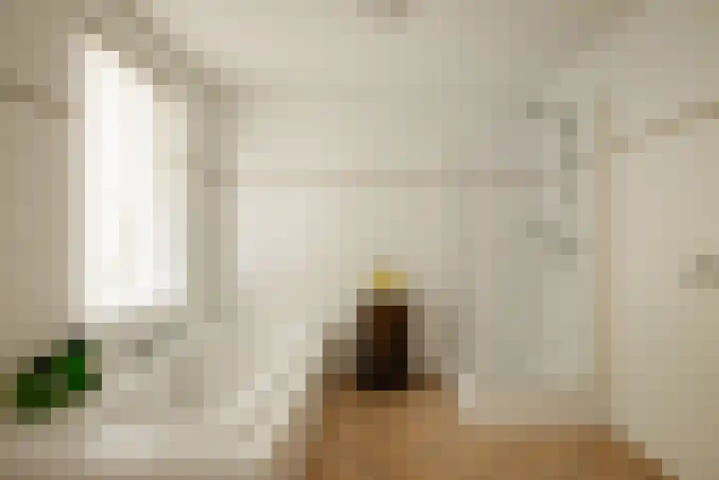 Duinweg 66 Schoorl thumbnail 19