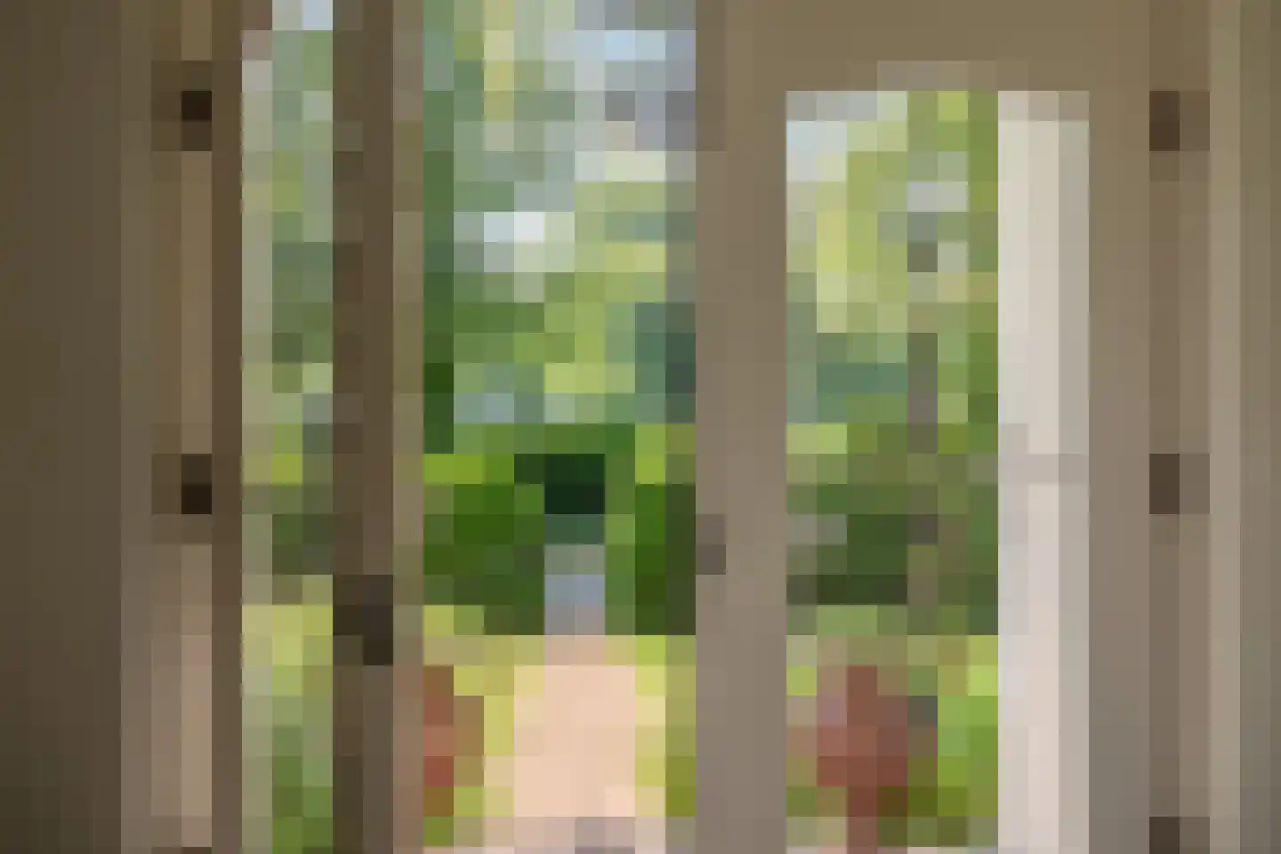 Duinweg 66 Schoorl thumbnail 25