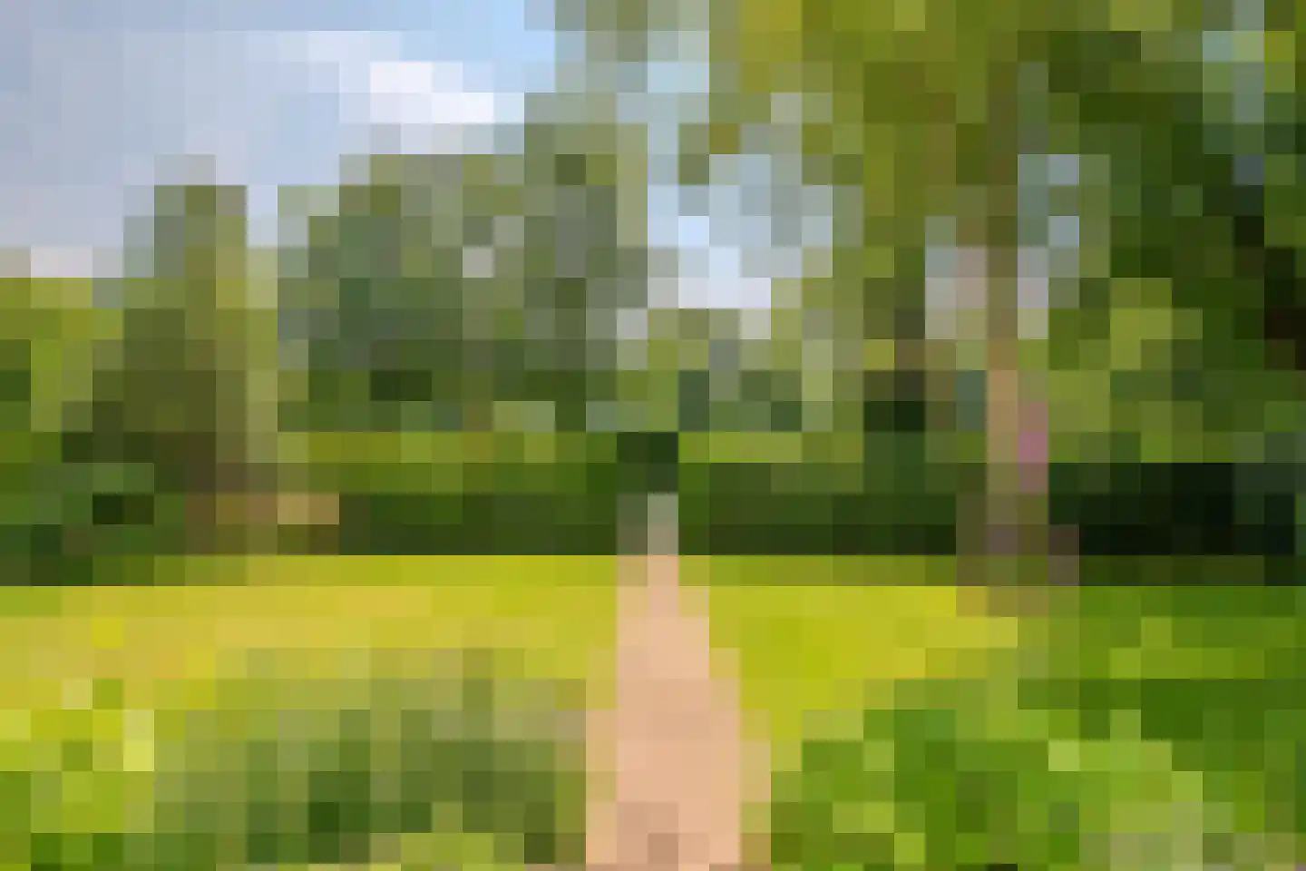 Duinweg 66 Schoorl thumbnail 26