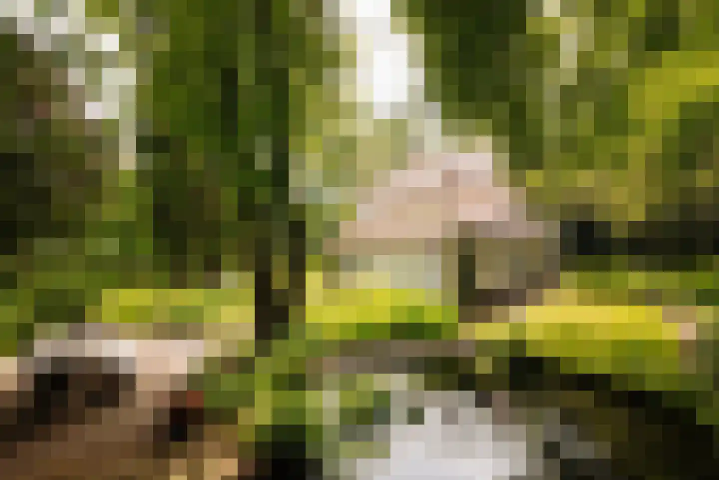 Duinweg 66 Schoorl thumbnail 27