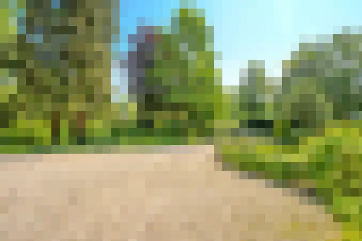 Duinweg 66 Schoorl thumbnail 27