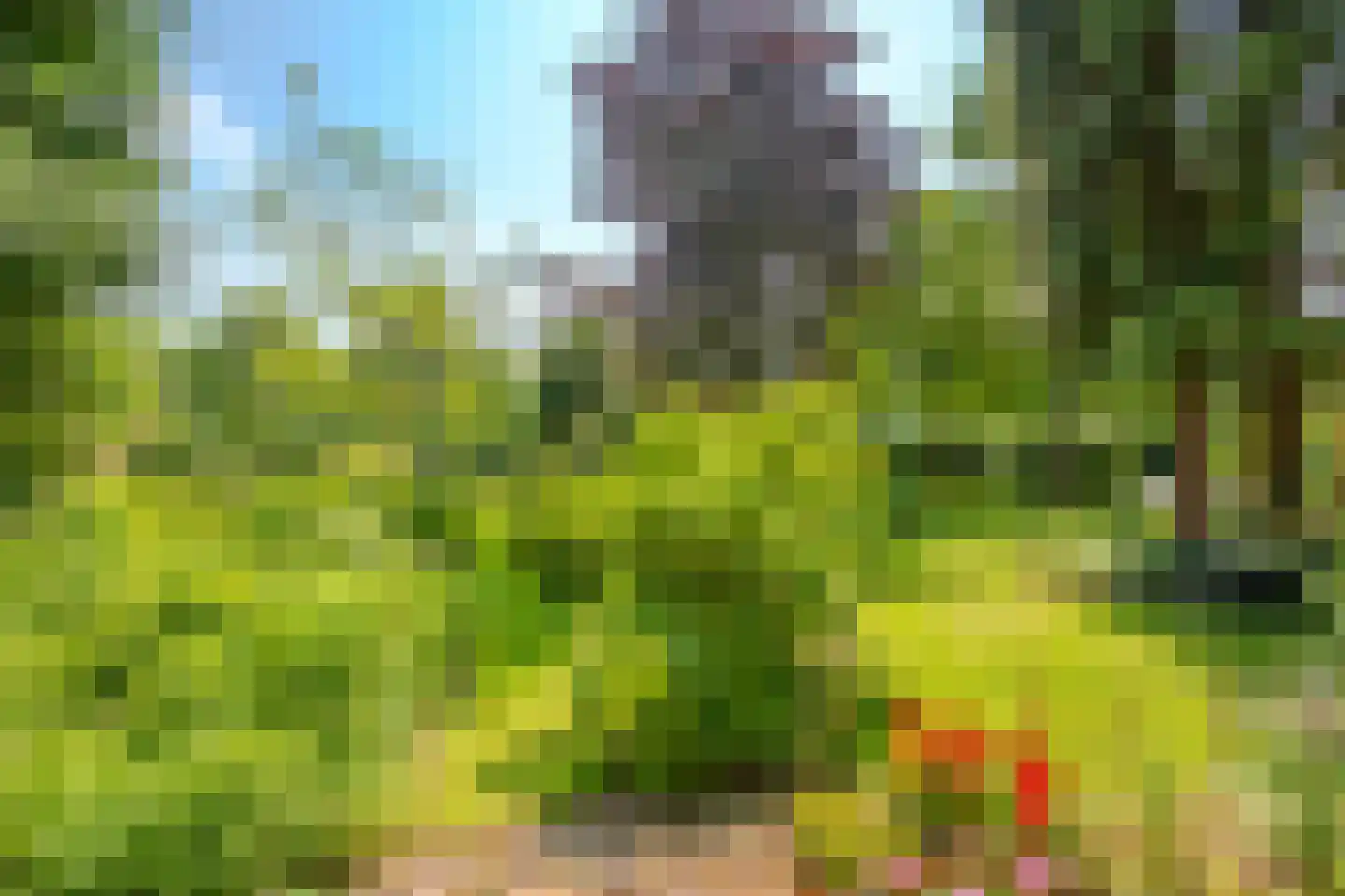 Duinweg 66 Schoorl thumbnail 28
