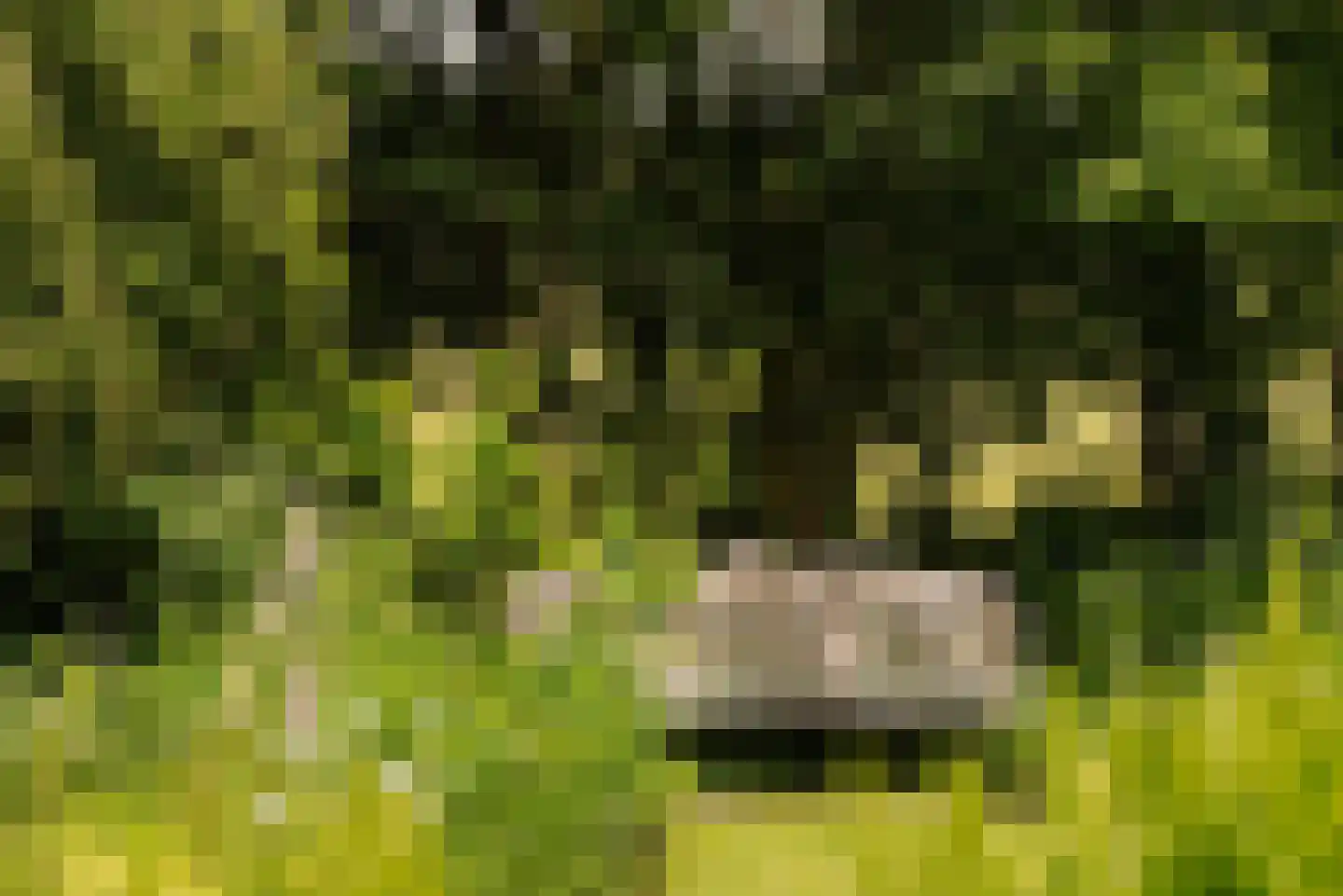 Duinweg 66 Schoorl thumbnail 29