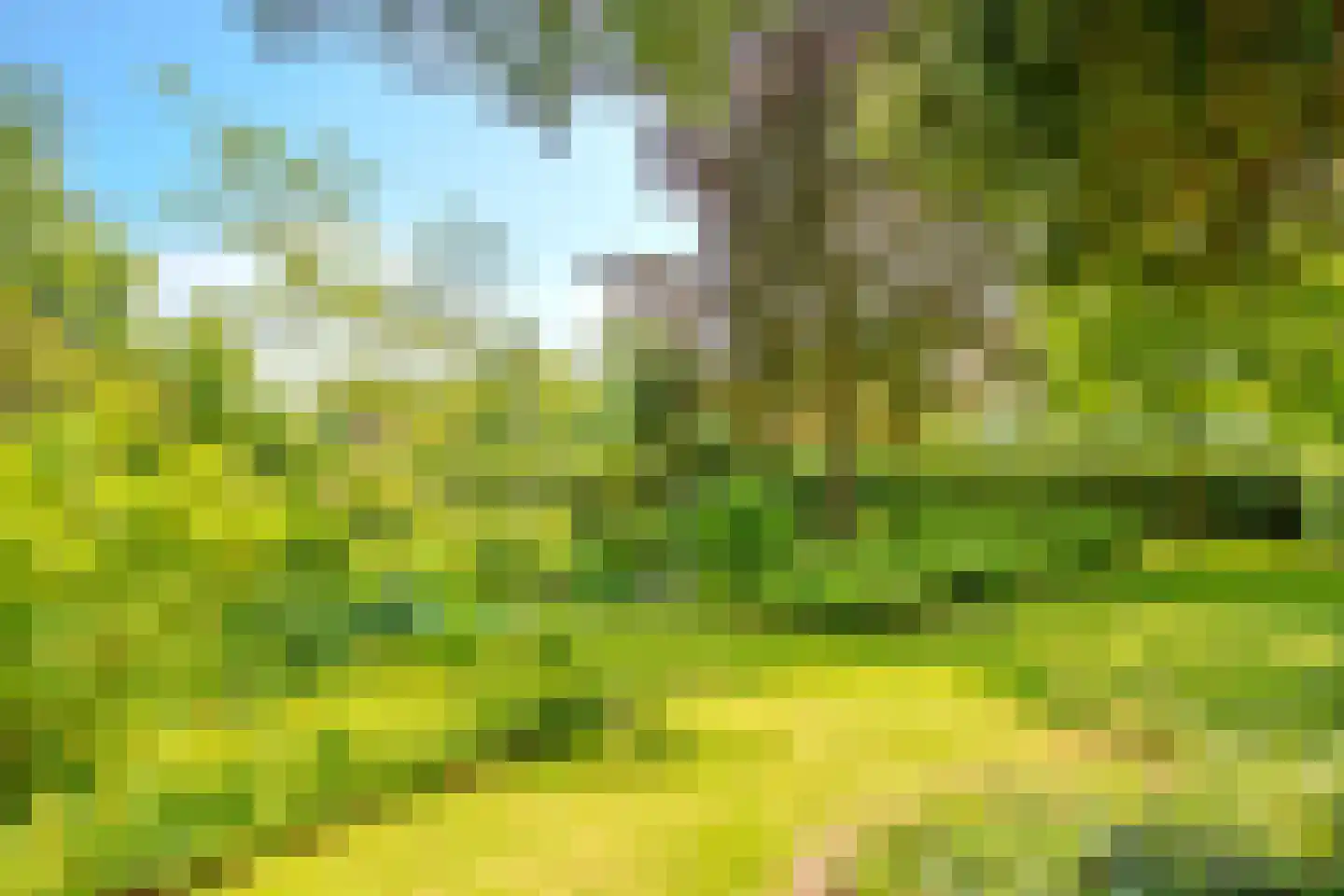 Duinweg 66 Schoorl thumbnail 30