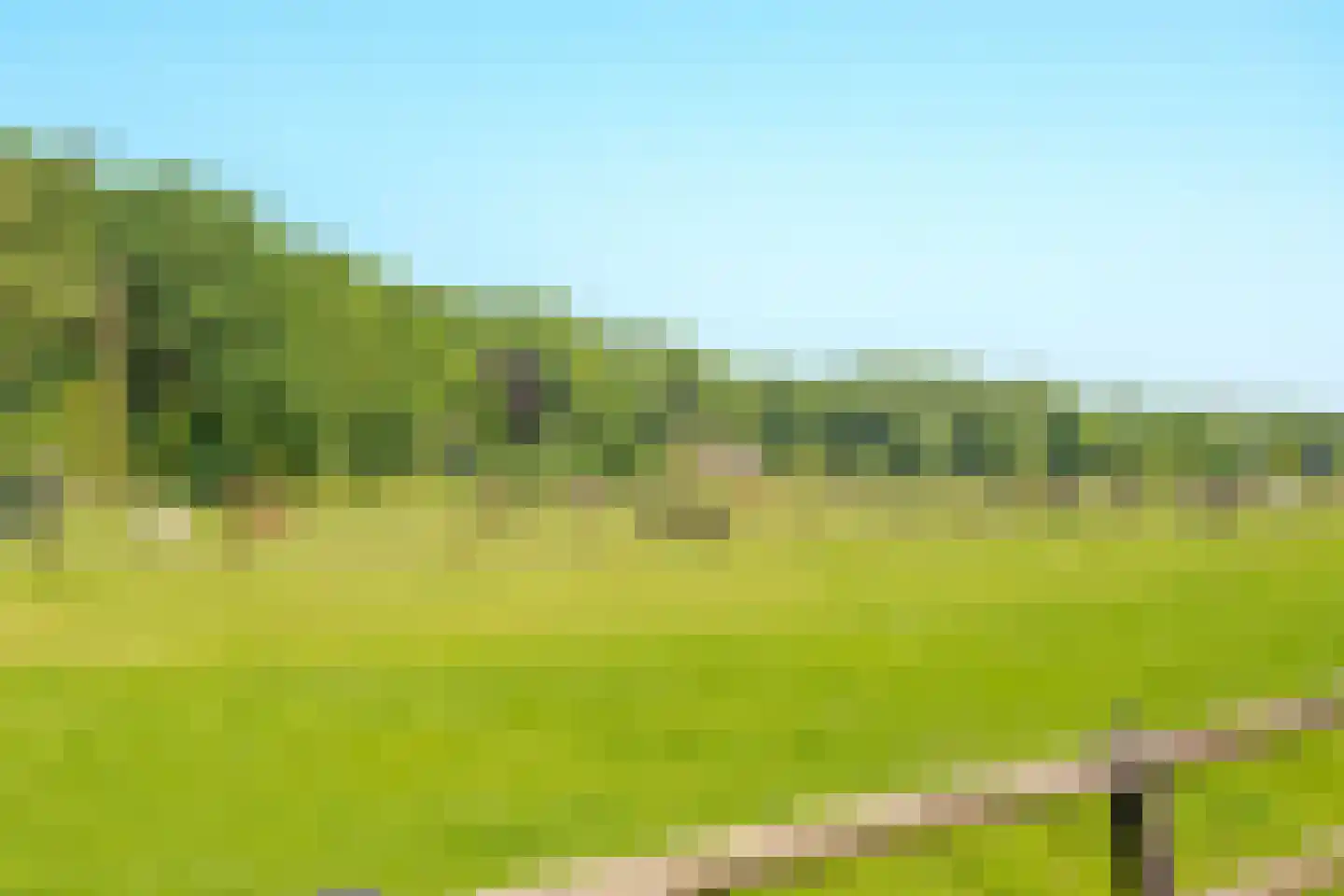 Duinweg 66 Schoorl thumbnail 31