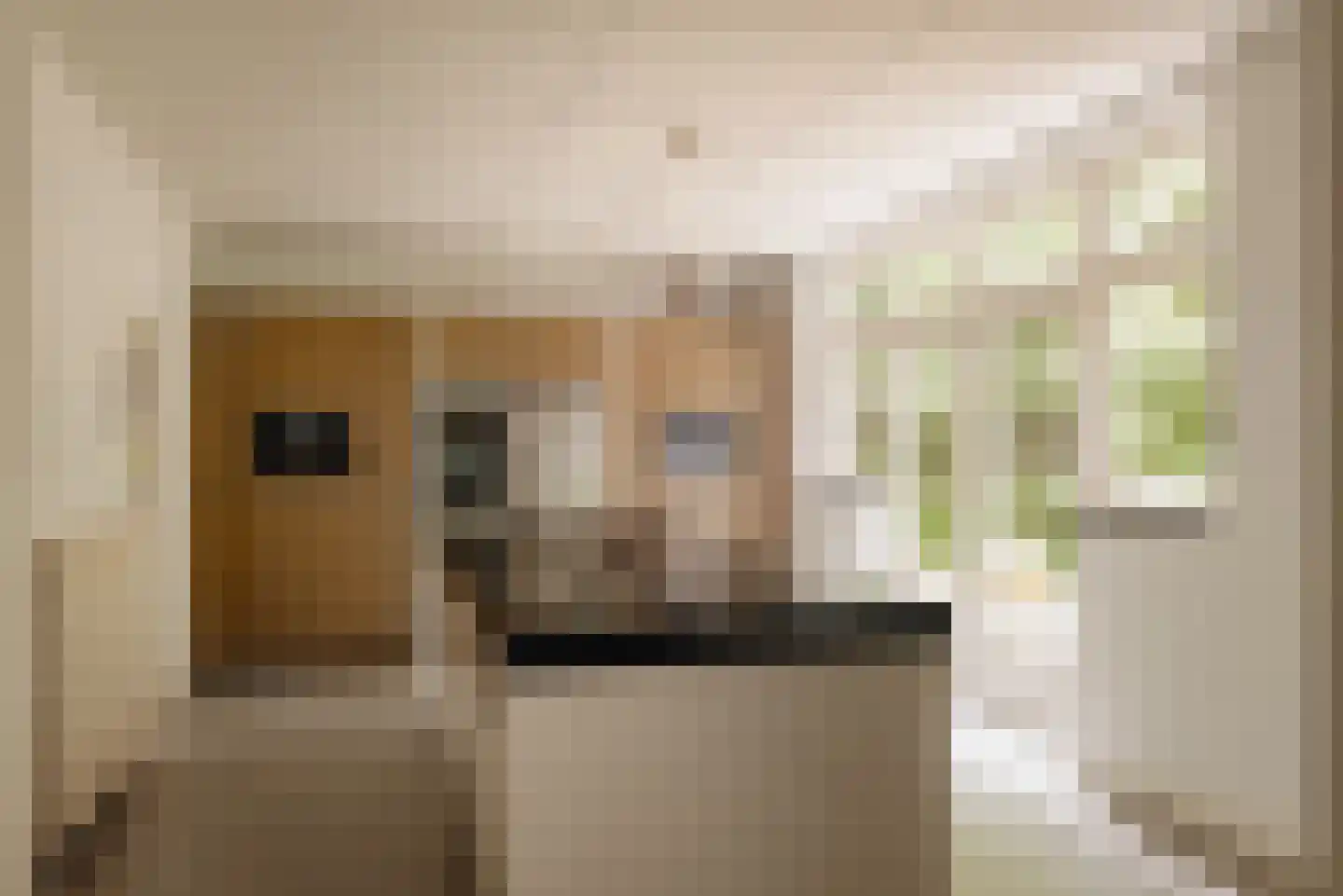 Duinweg 66 Schoorl thumbnail 5