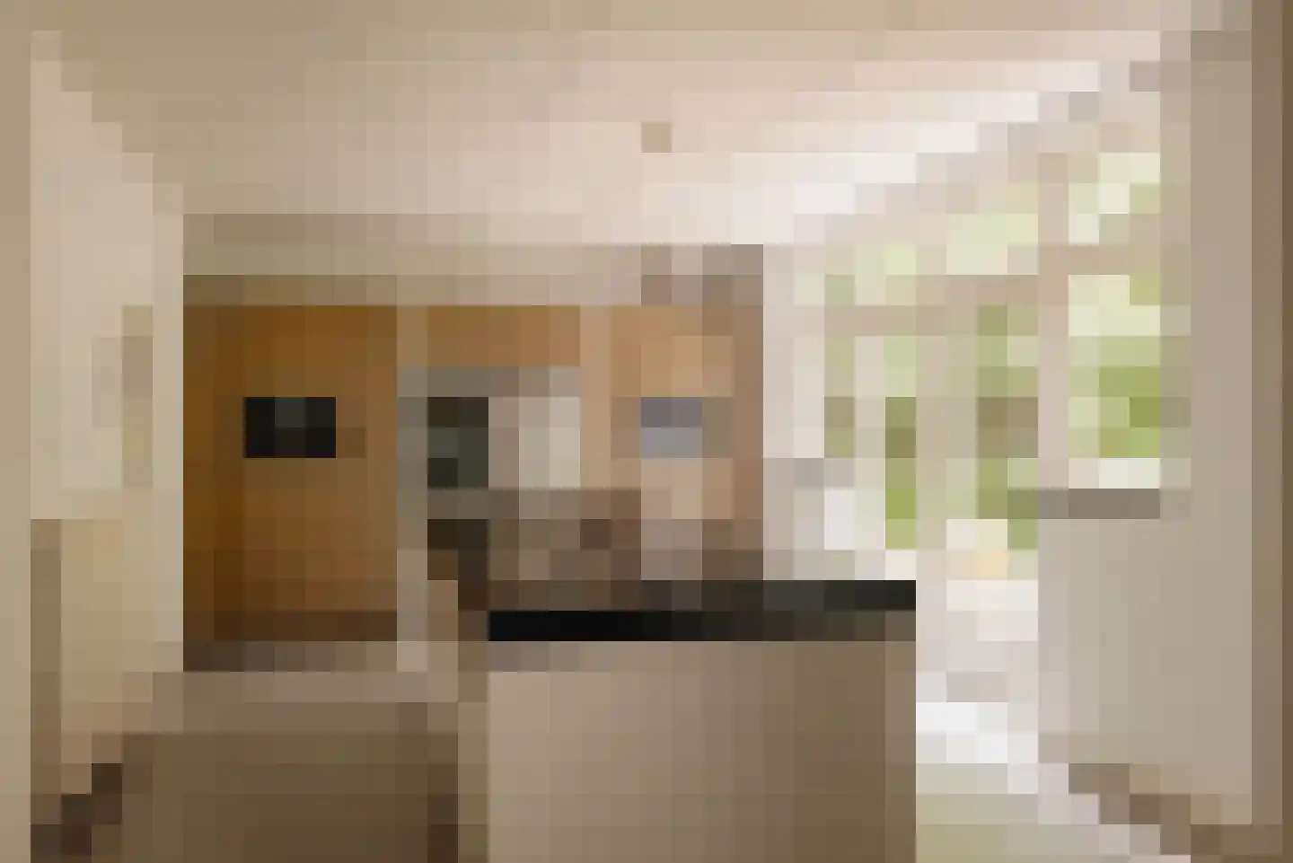 Duinweg 66 Schoorl thumbnail 6