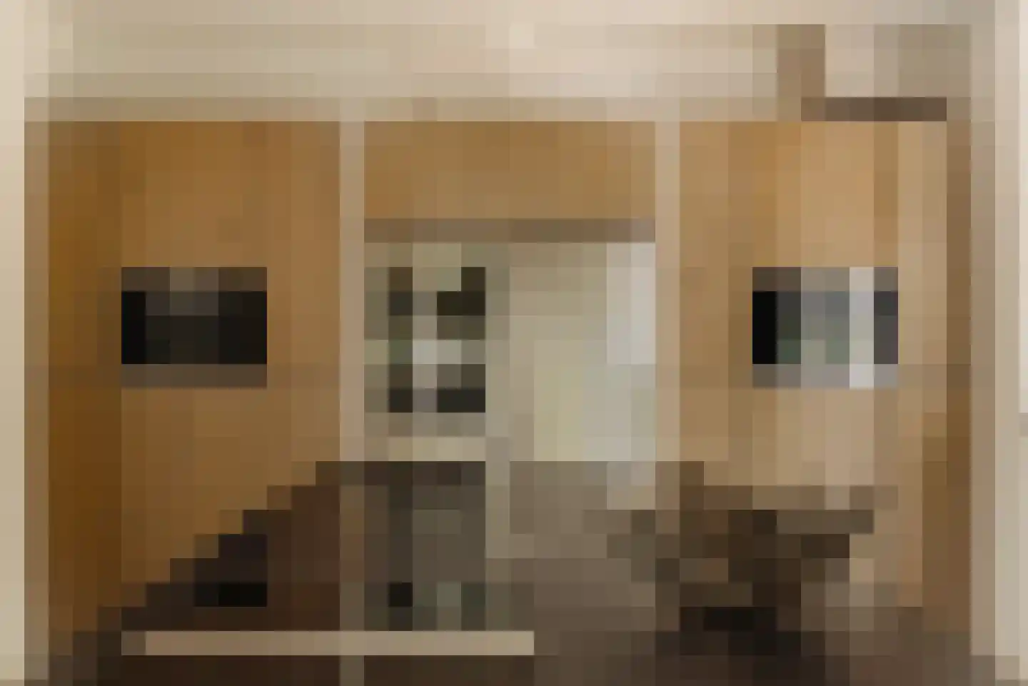 Duinweg 66 Schoorl thumbnail 6