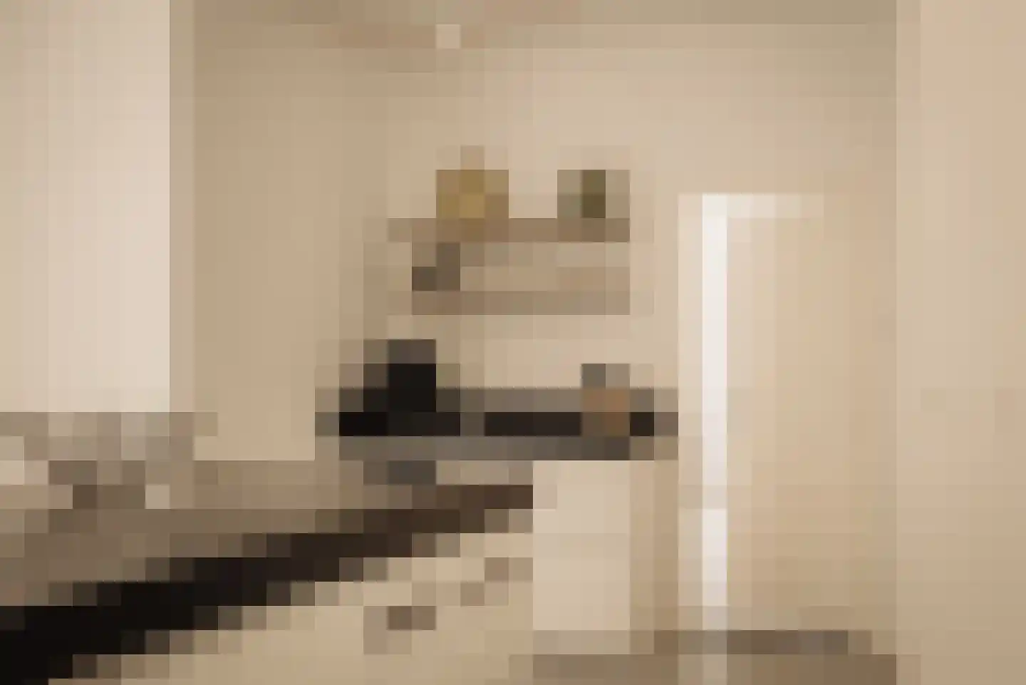 Duinweg 66 Schoorl thumbnail 7