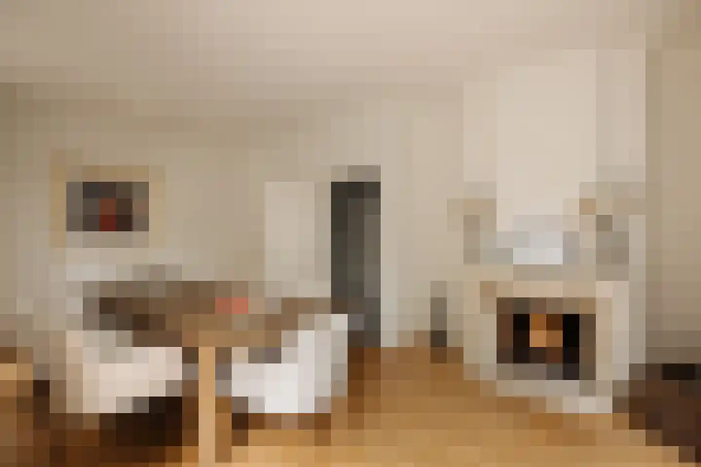 Duinweg 66 Schoorl thumbnail 9