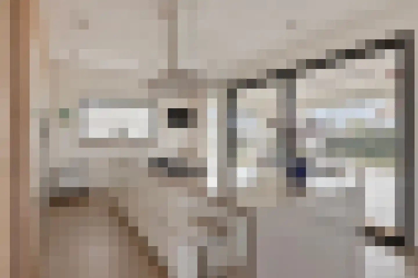 Duinweg 7 Renesse thumbnail 13