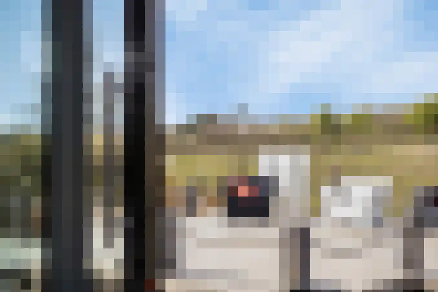 Duinweg 7 Renesse thumbnail 19