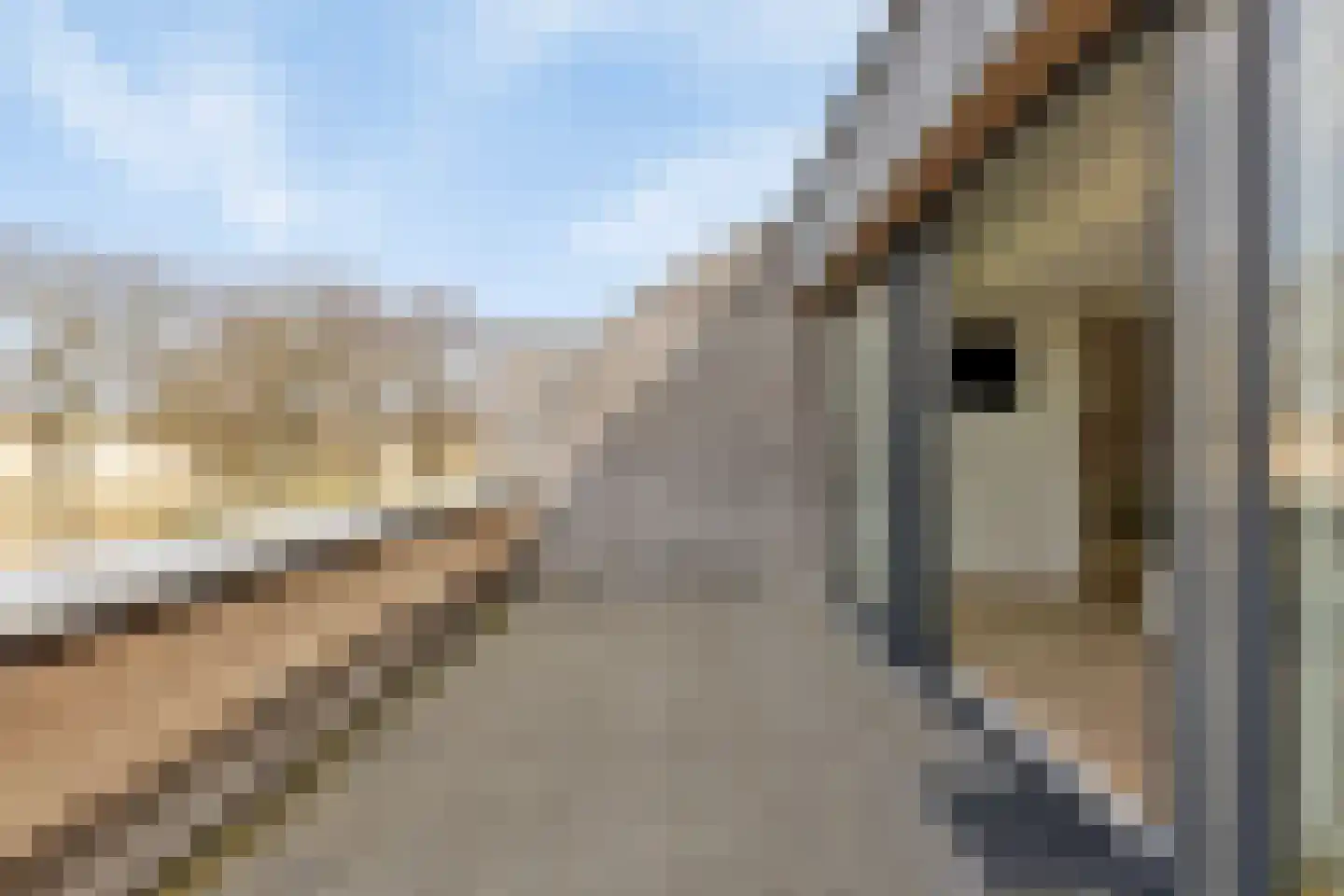Duinweg 7 Renesse thumbnail 39