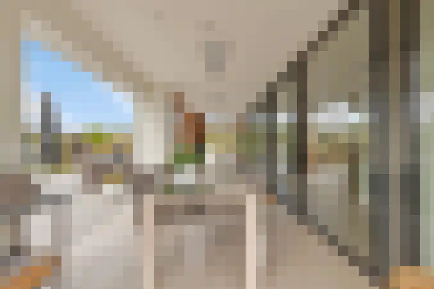 Duinweg 7 Renesse thumbnail 48