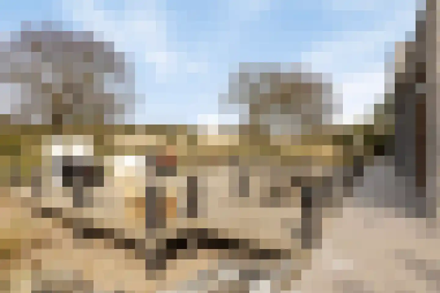 Duinweg 7 Renesse thumbnail 53