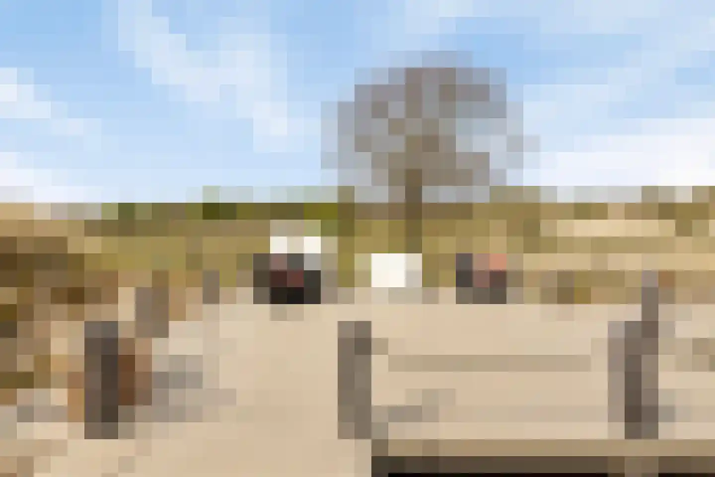 Duinweg 7 Renesse thumbnail 54