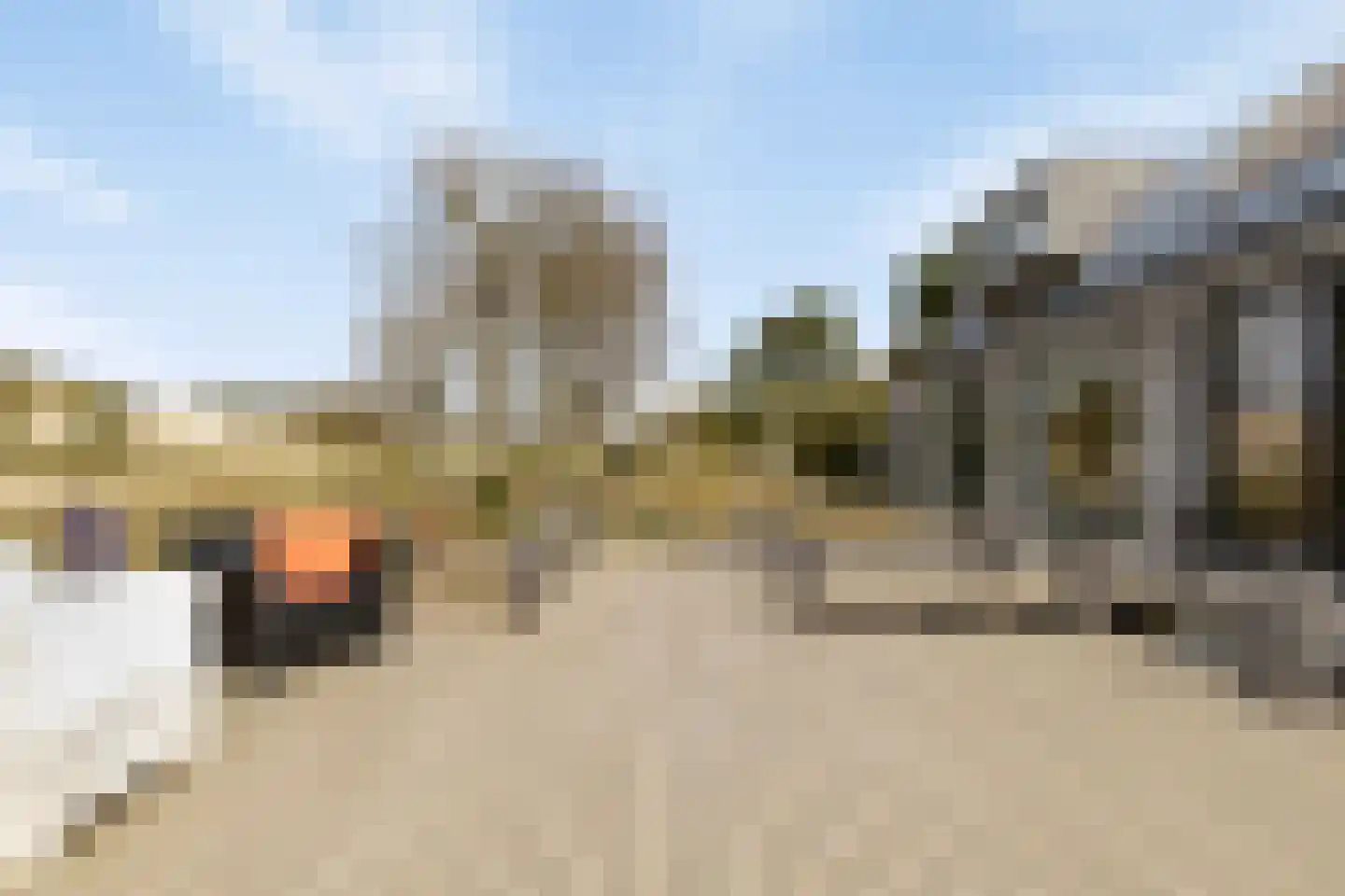 Duinweg 7 Renesse thumbnail 55