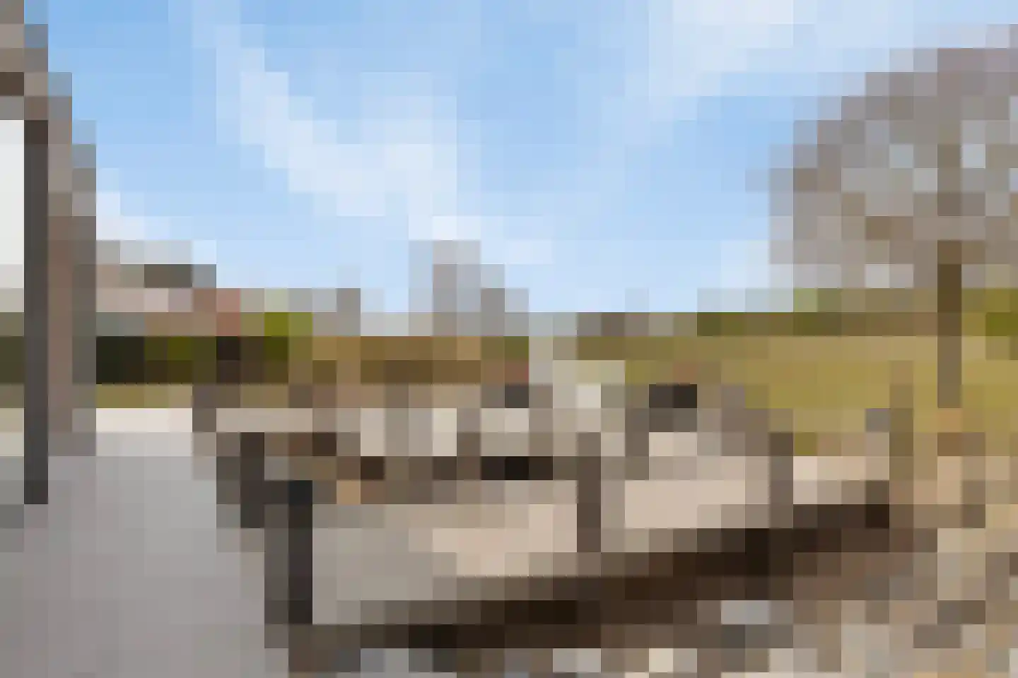 Duinweg 7 Renesse thumbnail 58