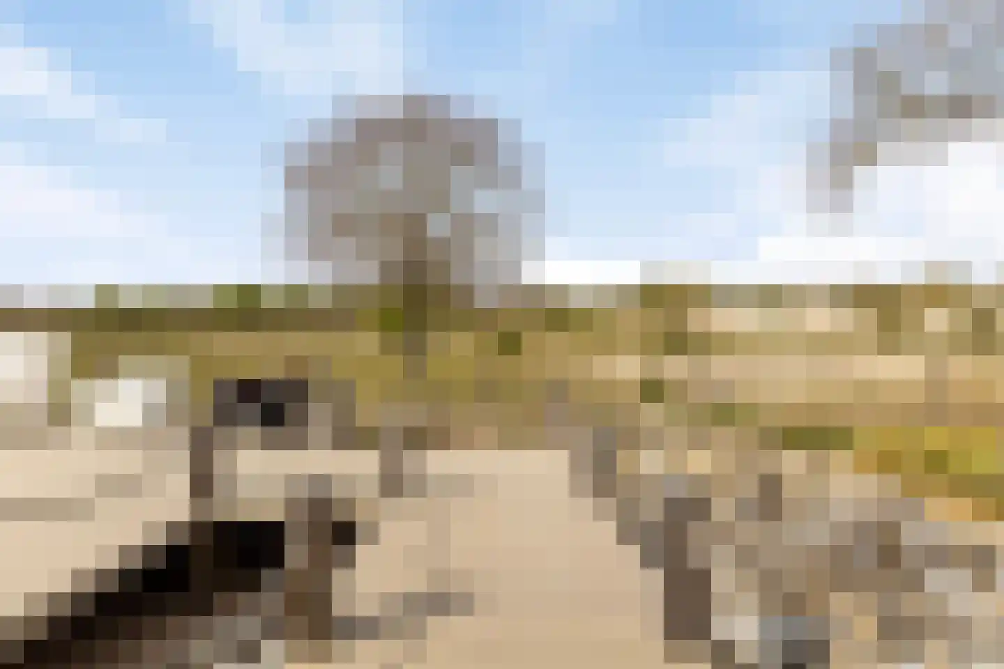 Duinweg 7 Renesse thumbnail 59