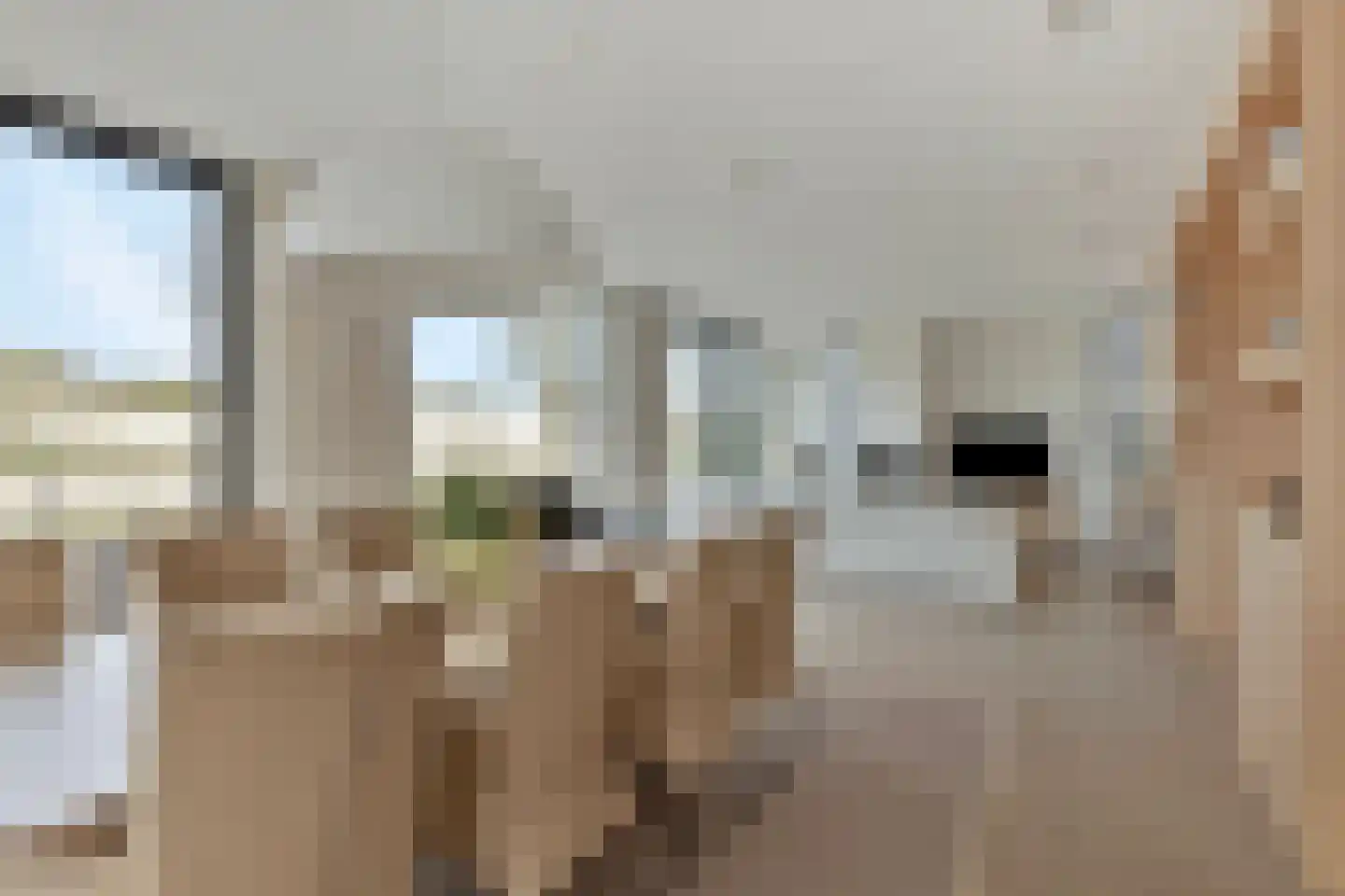 Duinweg 7 Renesse thumbnail 6
