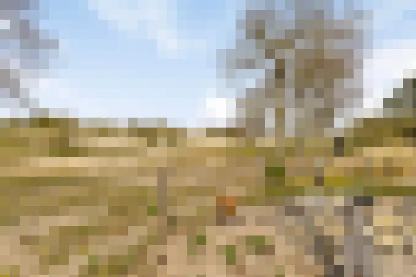 Duinweg 7 Renesse thumbnail 60