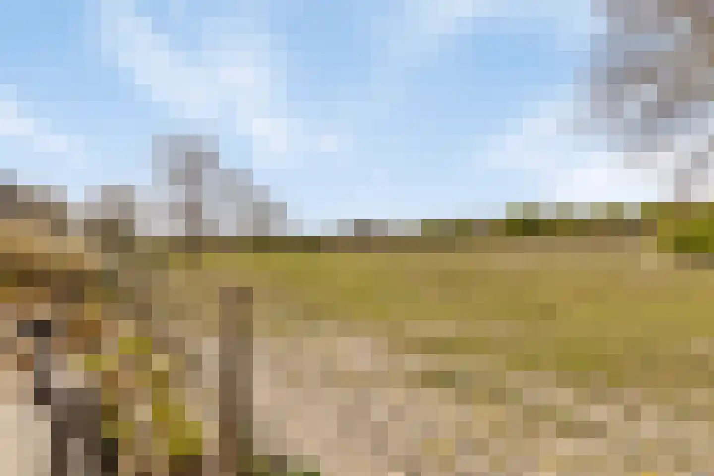 Duinweg 7 Renesse thumbnail 61