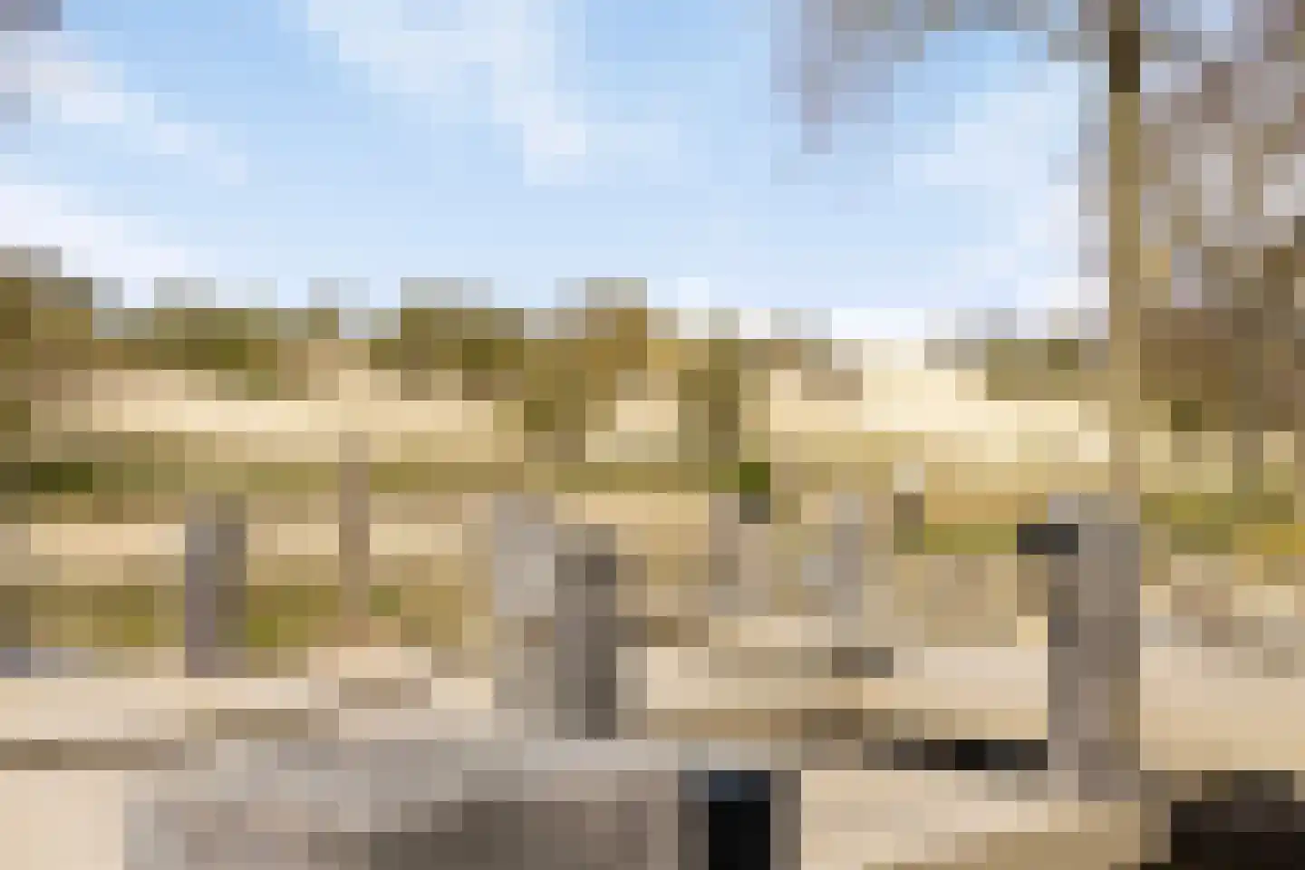 Duinweg 7 Renesse thumbnail 63