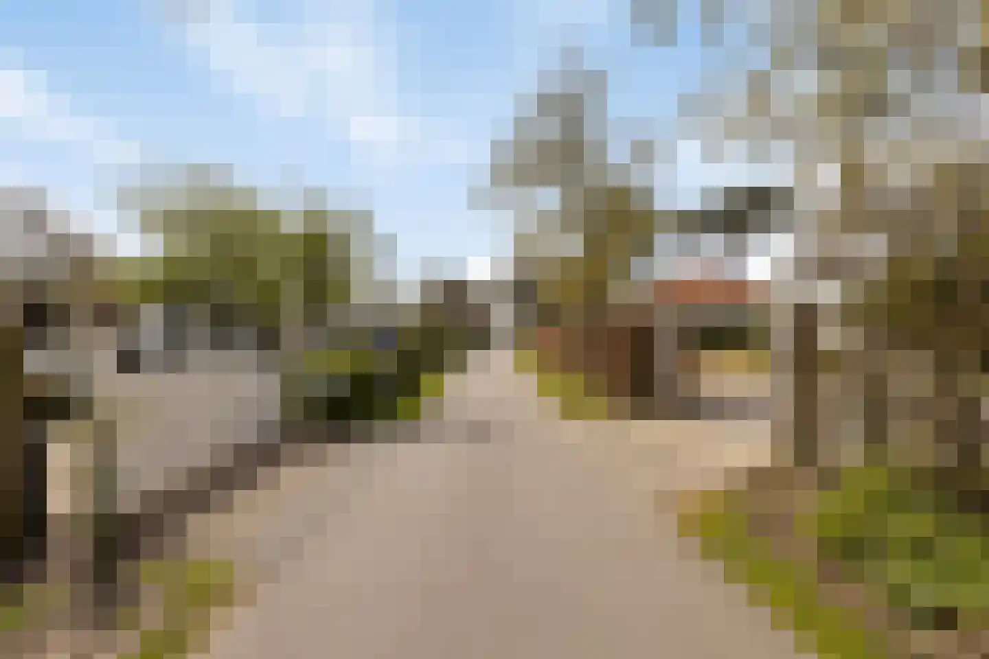 Duinweg 7 Renesse thumbnail 65