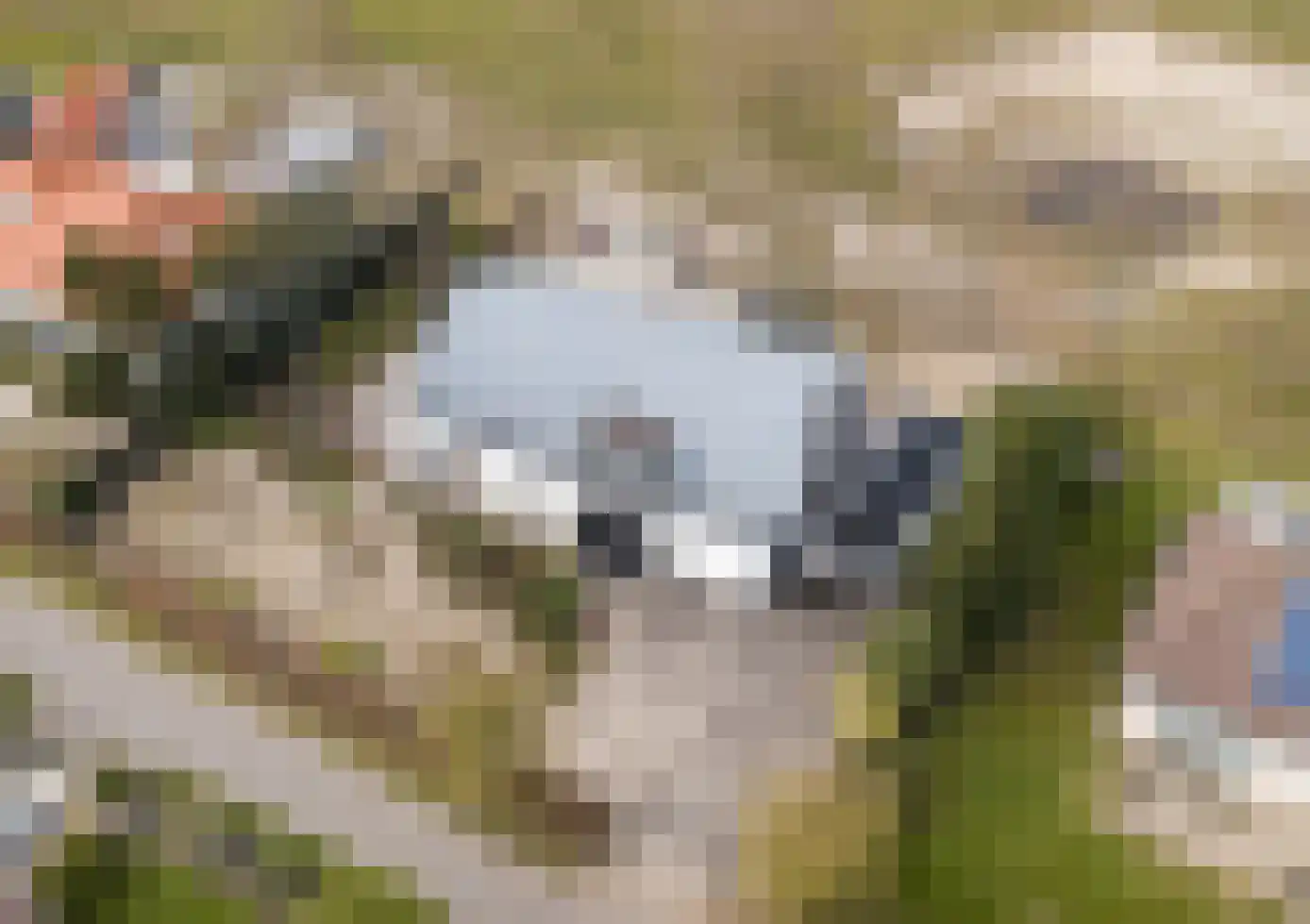 Duinweg 7 Renesse thumbnail 68
