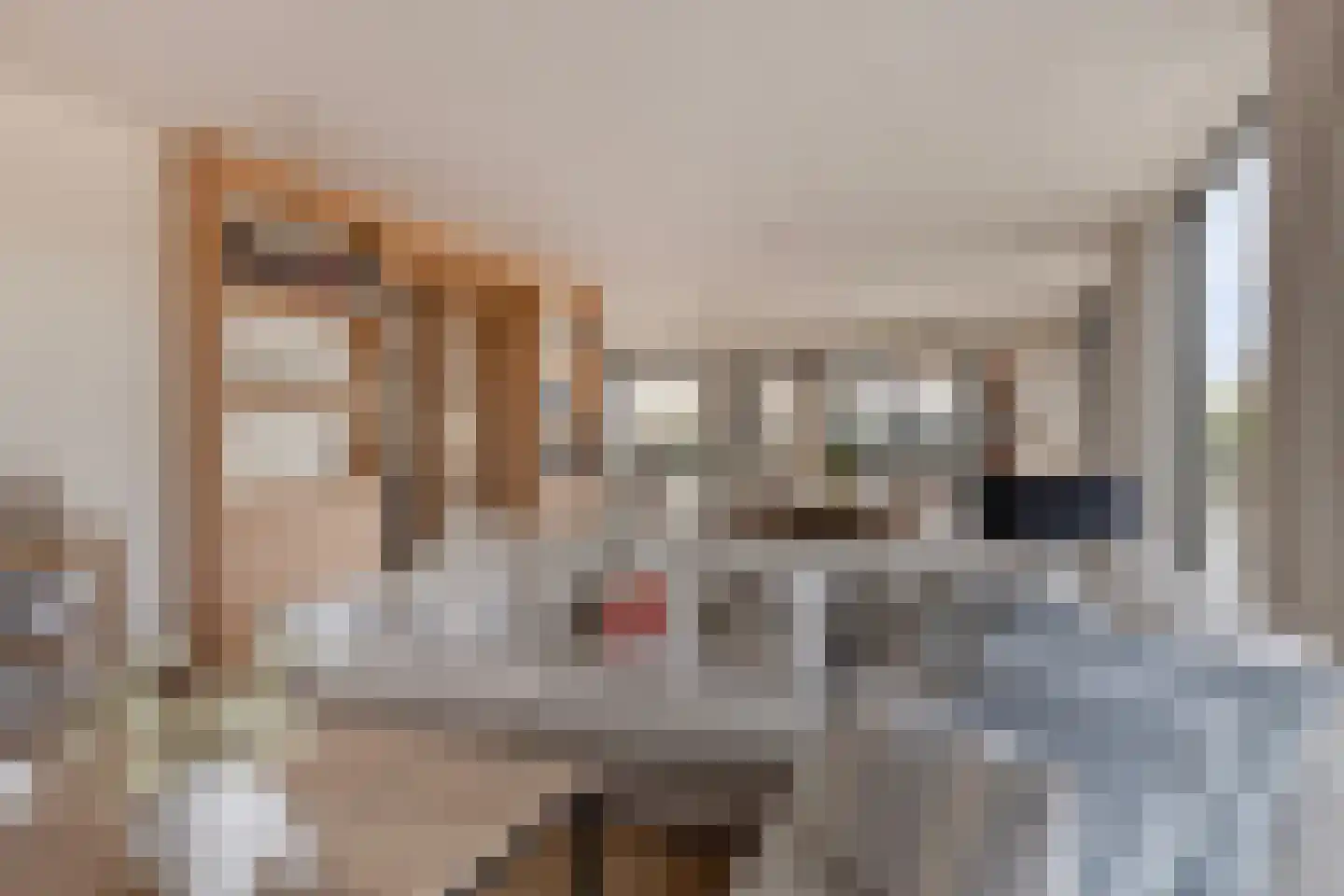Duinweg 7 Renesse thumbnail 7