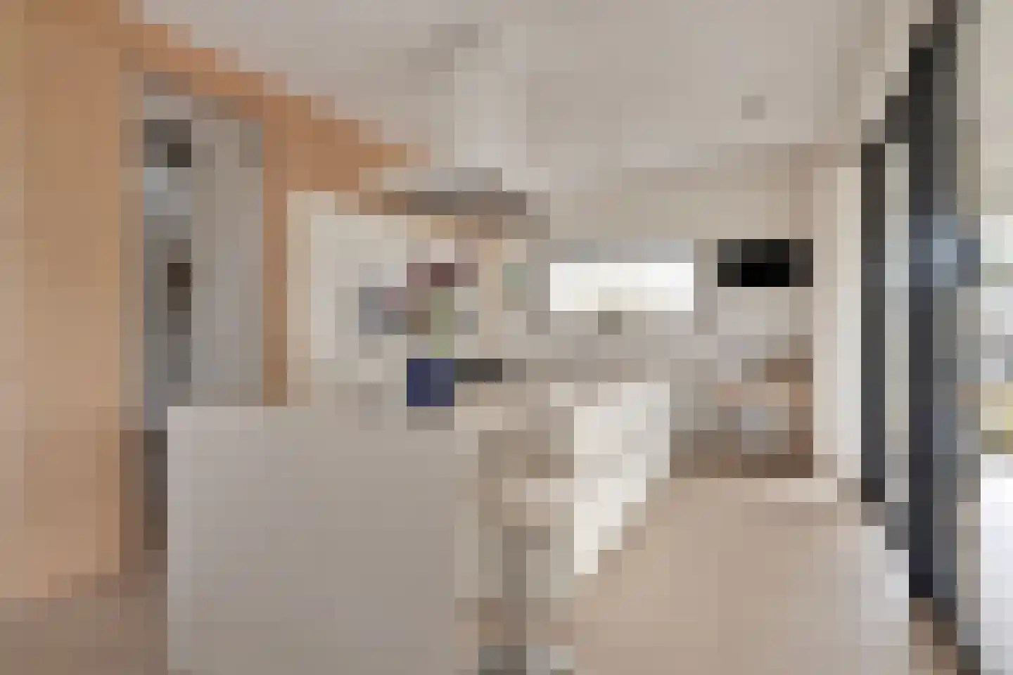 Duinweg 7 Renesse thumbnail 9
