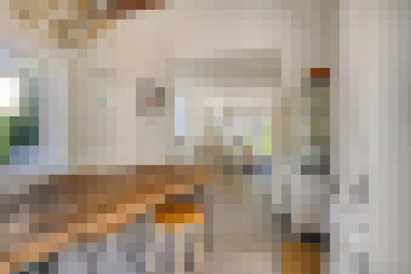 Duinweg 75 Zoutelande thumbnail 17