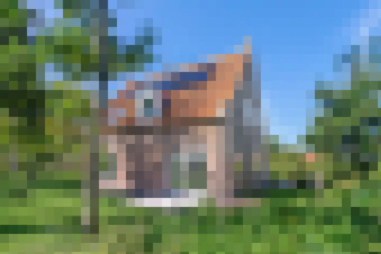 Duinweg 75 Zoutelande thumbnail 29