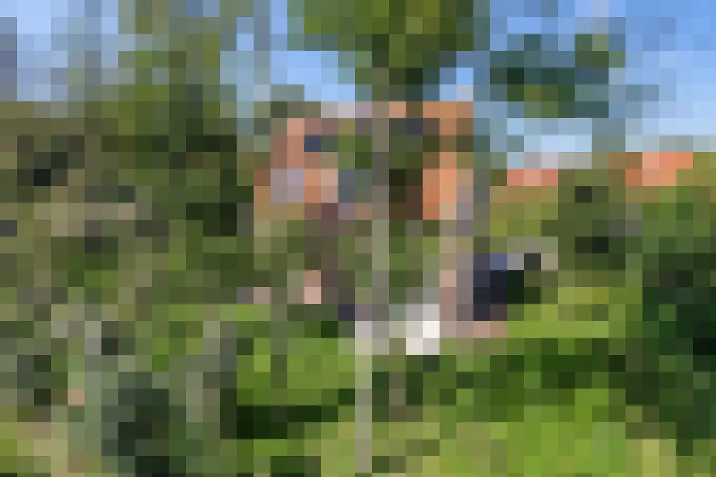 Duinweg 75 Zoutelande thumbnail 34