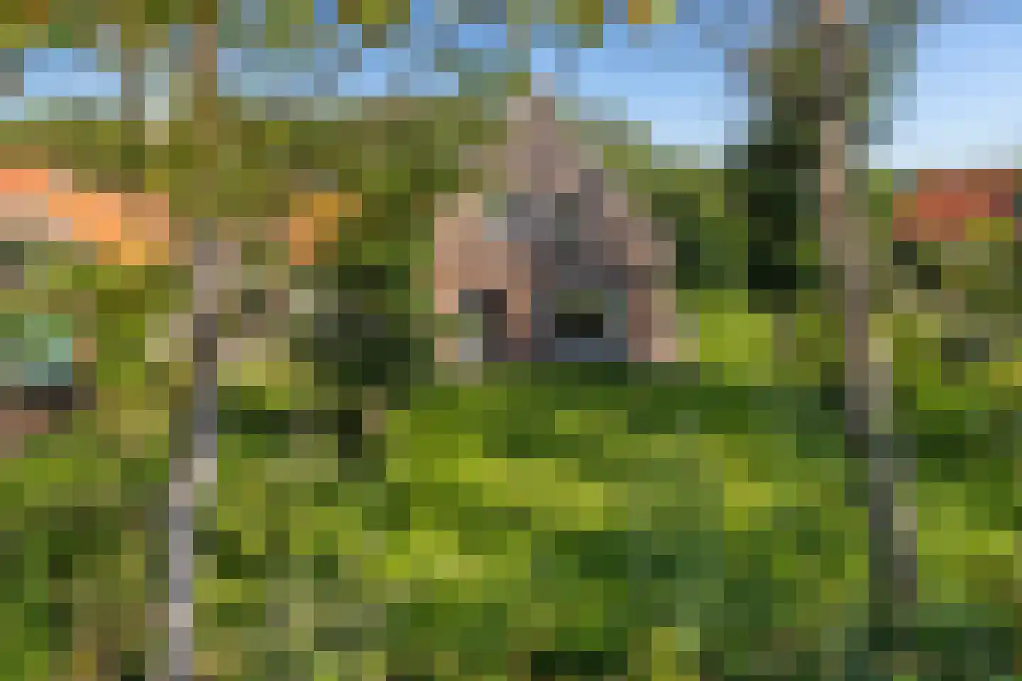 Duinweg 75 Zoutelande thumbnail 35