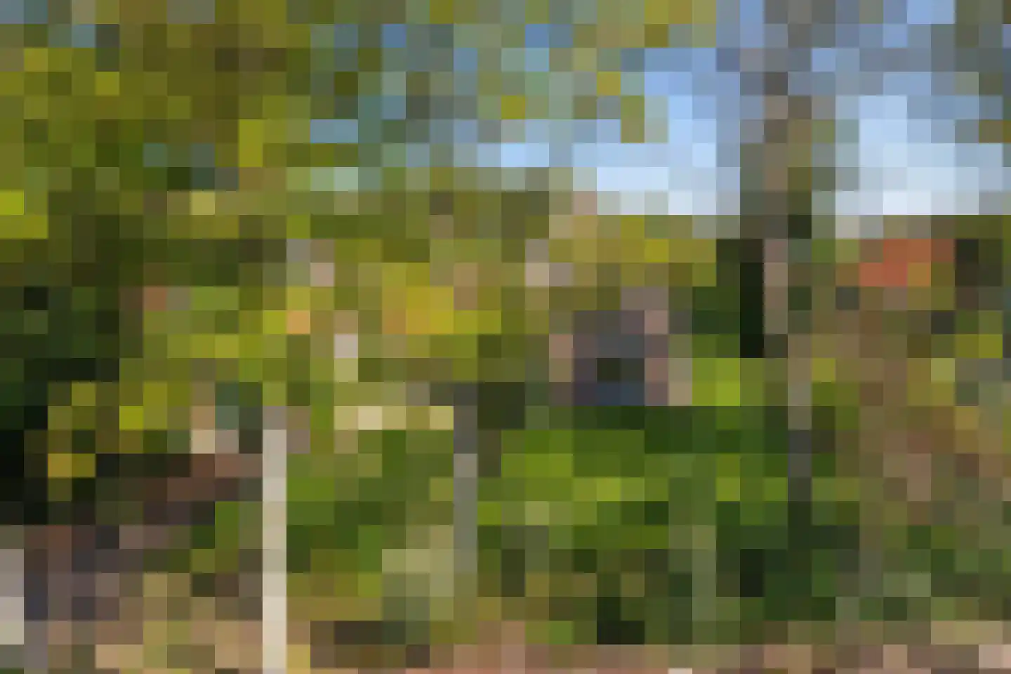 Duinweg 75 Zoutelande thumbnail 36