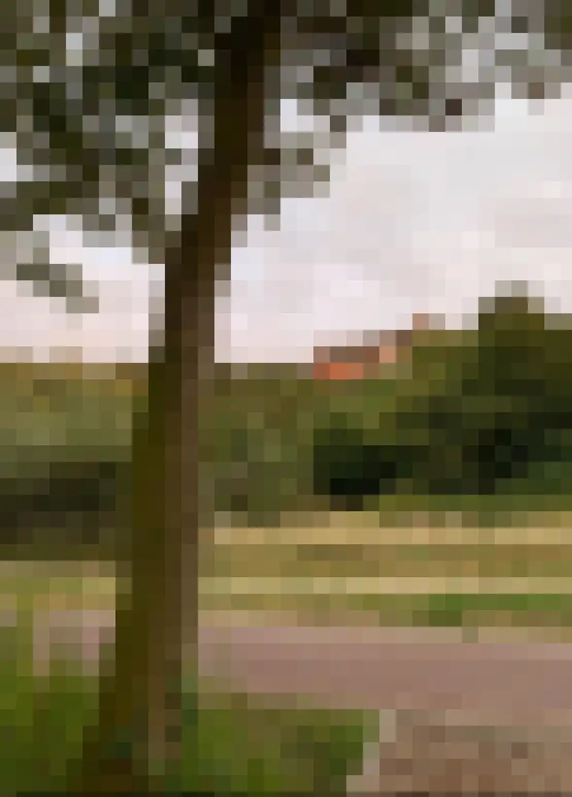 Duinweg 75 Zoutelande thumbnail 40