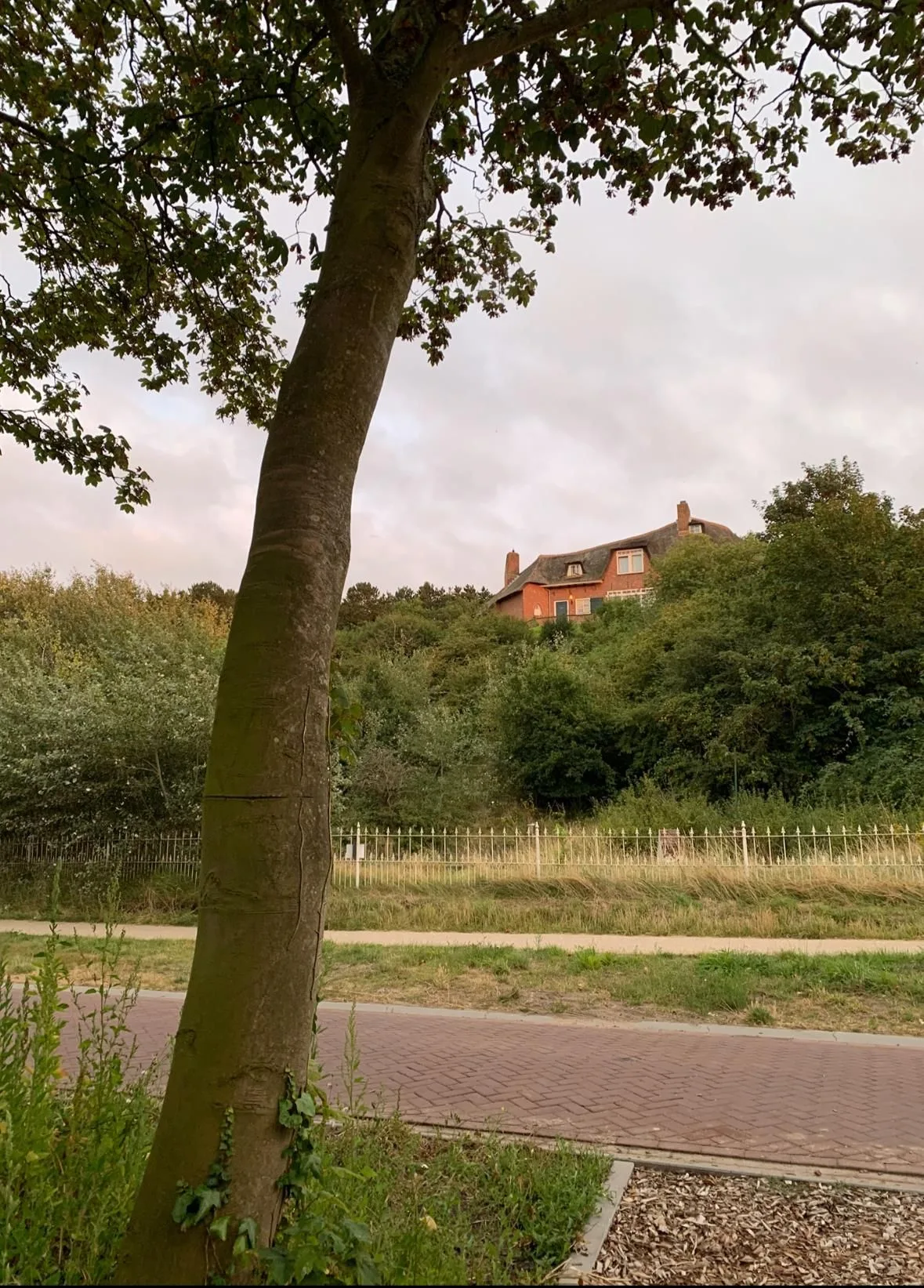 Duinweg 75 Zoutelande thumbnail 40