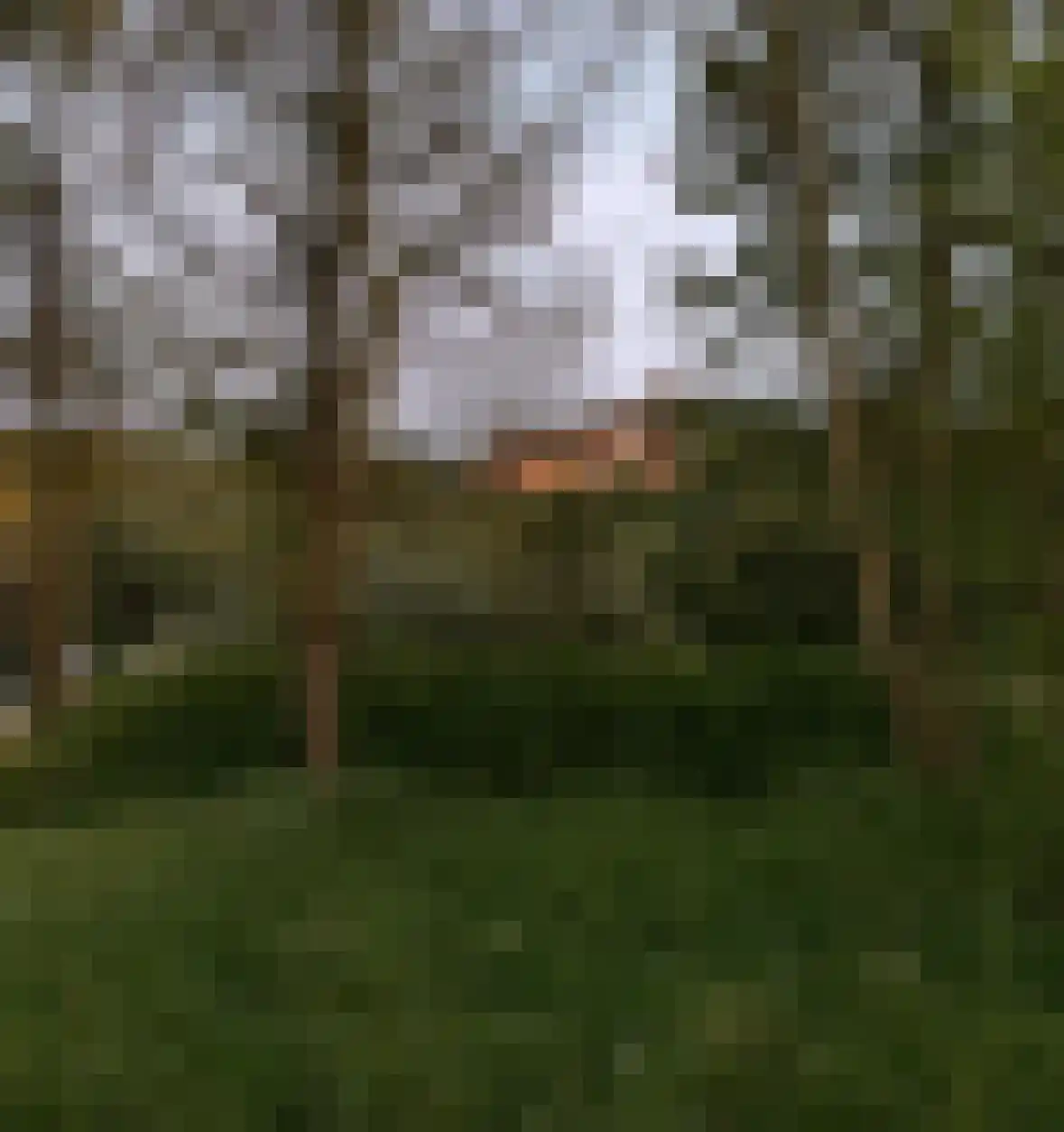 Duinweg 75 Zoutelande thumbnail 41