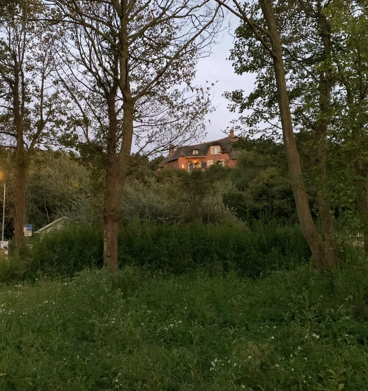 Duinweg 75 Zoutelande thumbnail 41