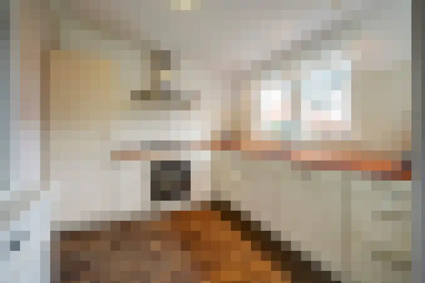 Duinweg 8 Renesse thumbnail 16