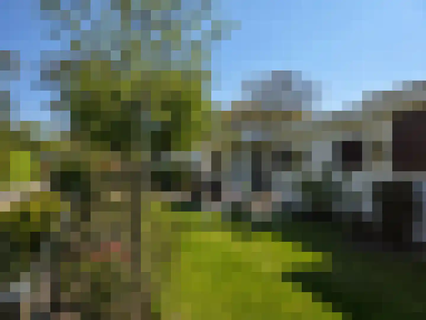 Duinweg 8 Renesse thumbnail 22