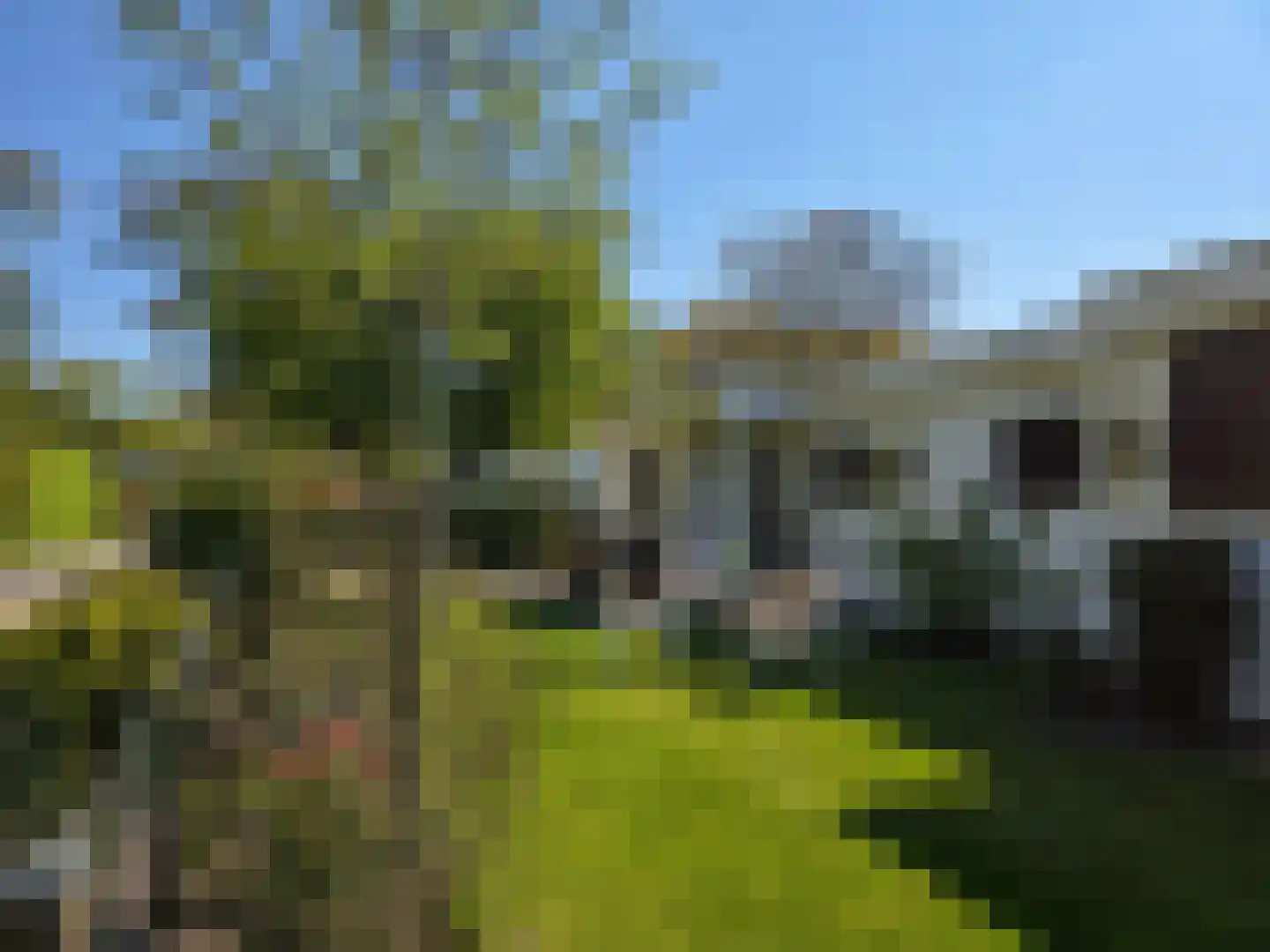 Duinweg 8 Renesse thumbnail 23
