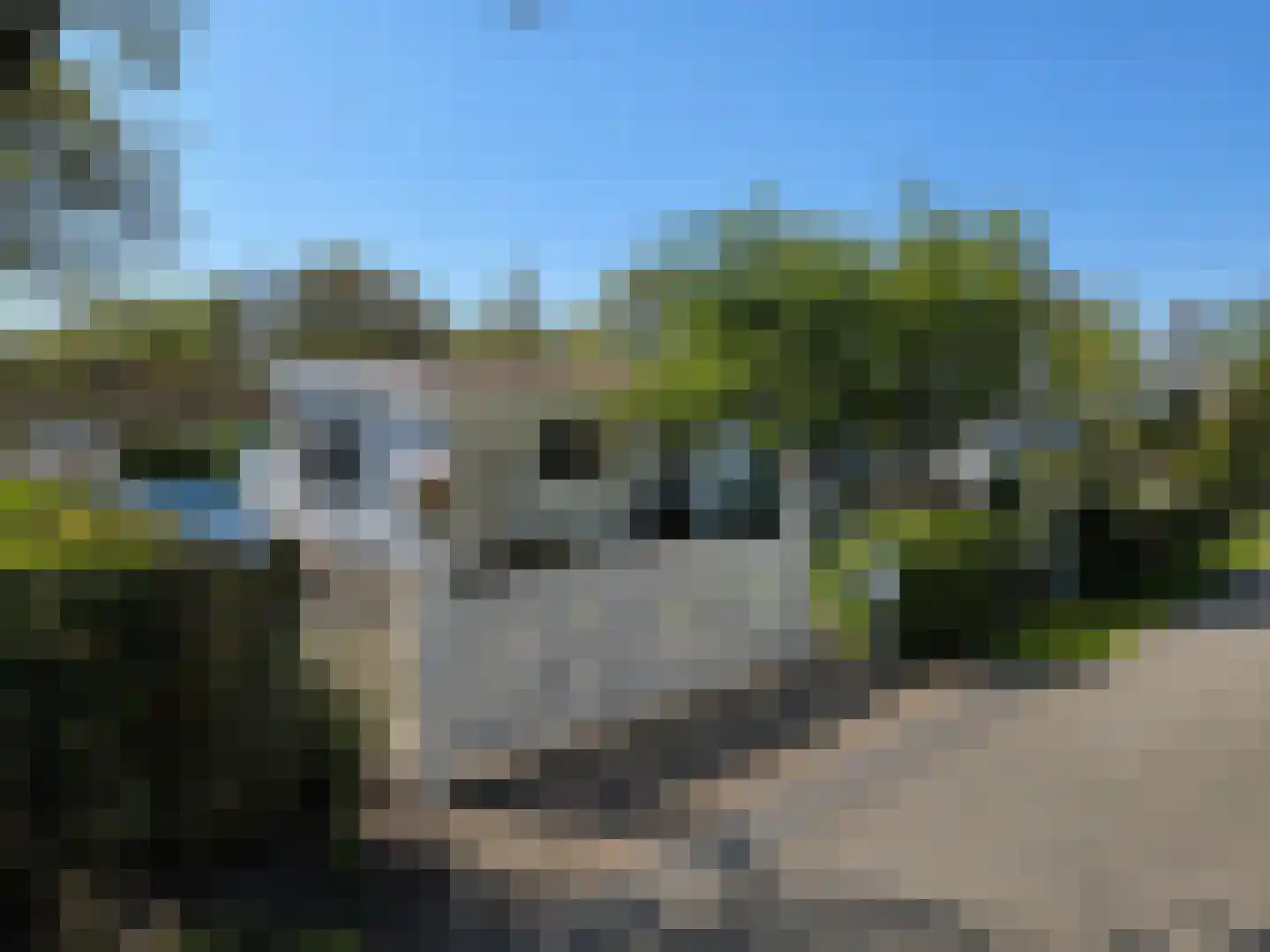 Duinweg 8 Renesse thumbnail 25
