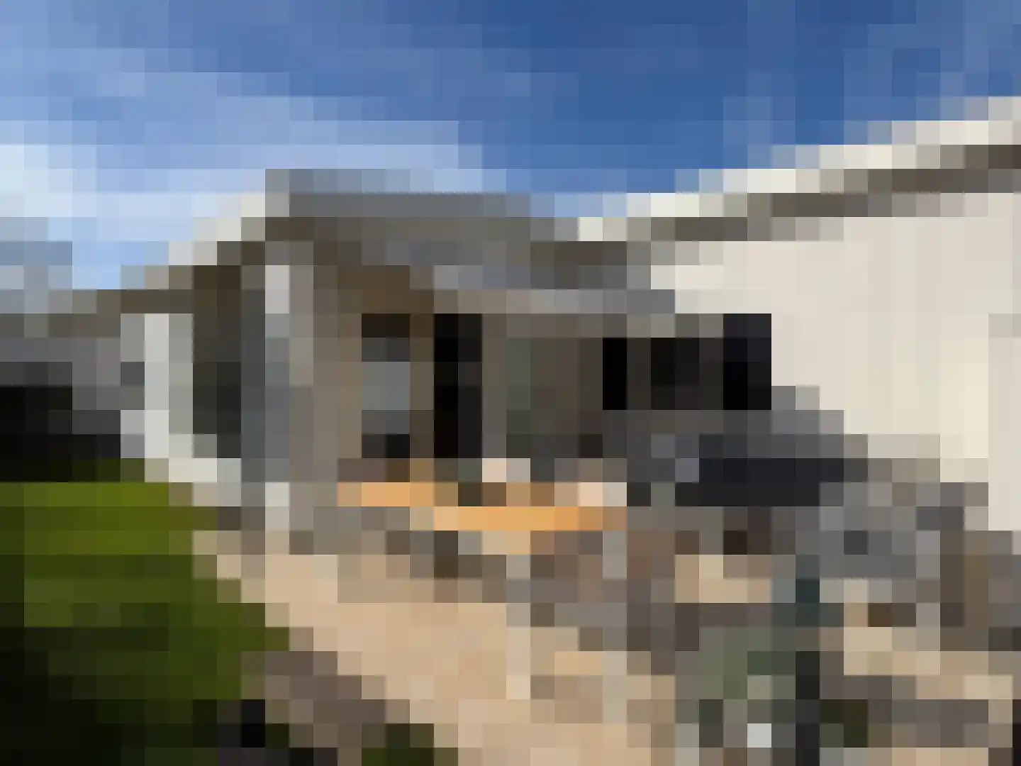 Duinweg 8 Renesse thumbnail 31