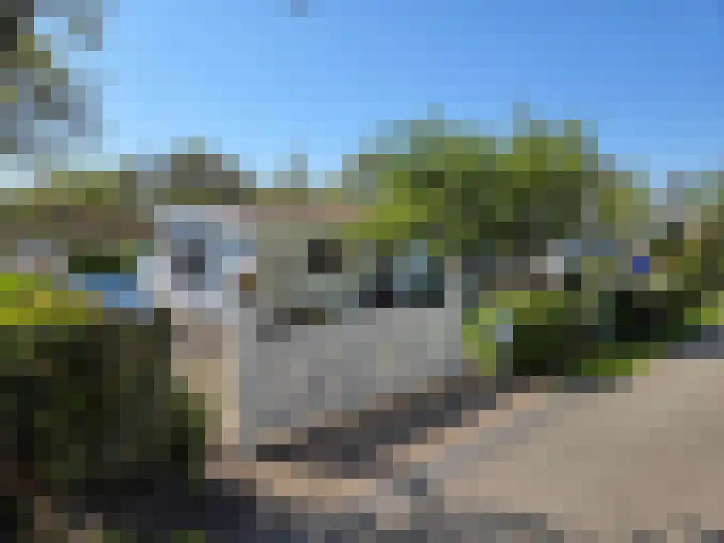 Duinweg 8 Renesse thumbnail 4