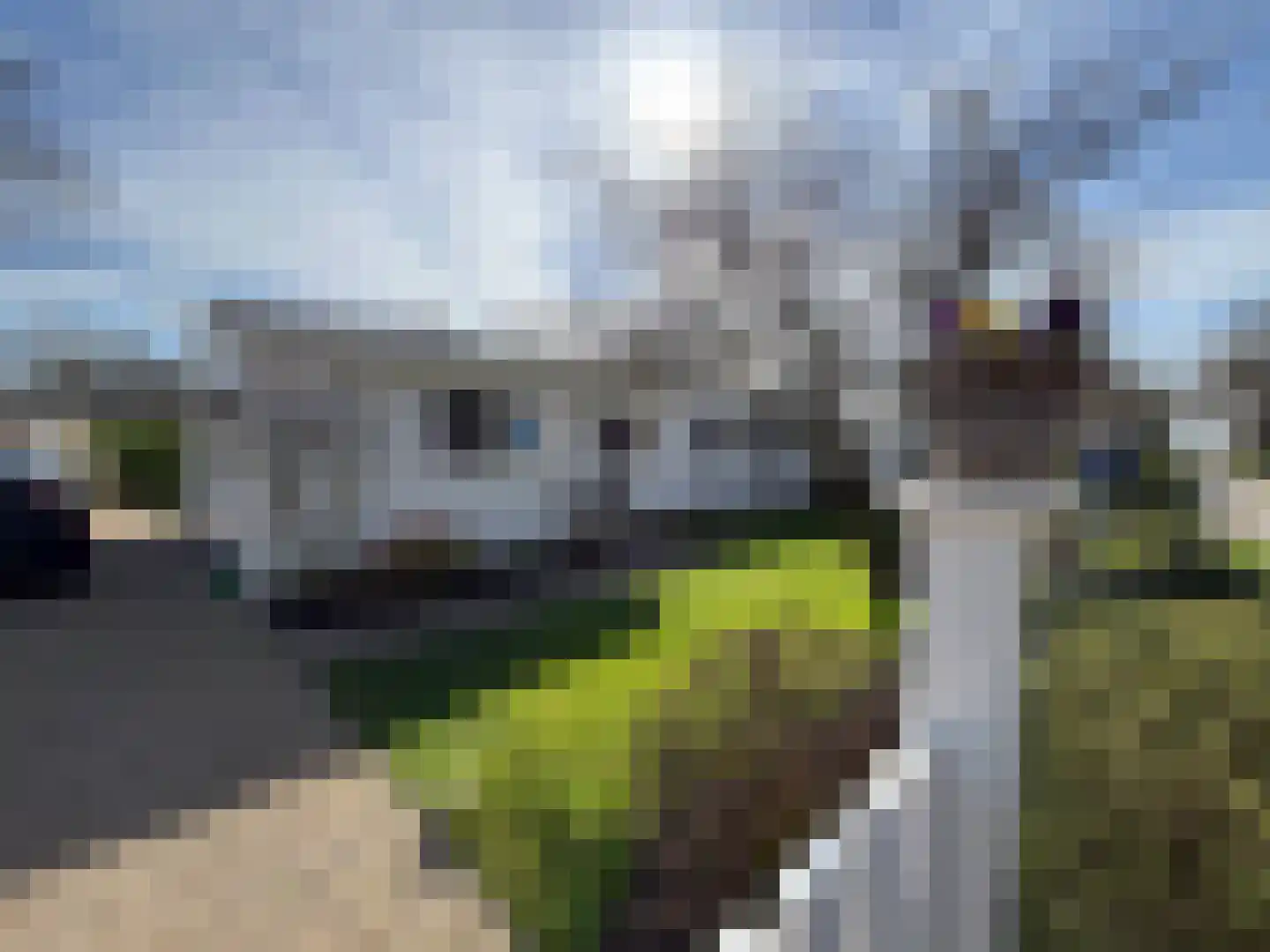 Duinweg 8 Renesse thumbnail 4