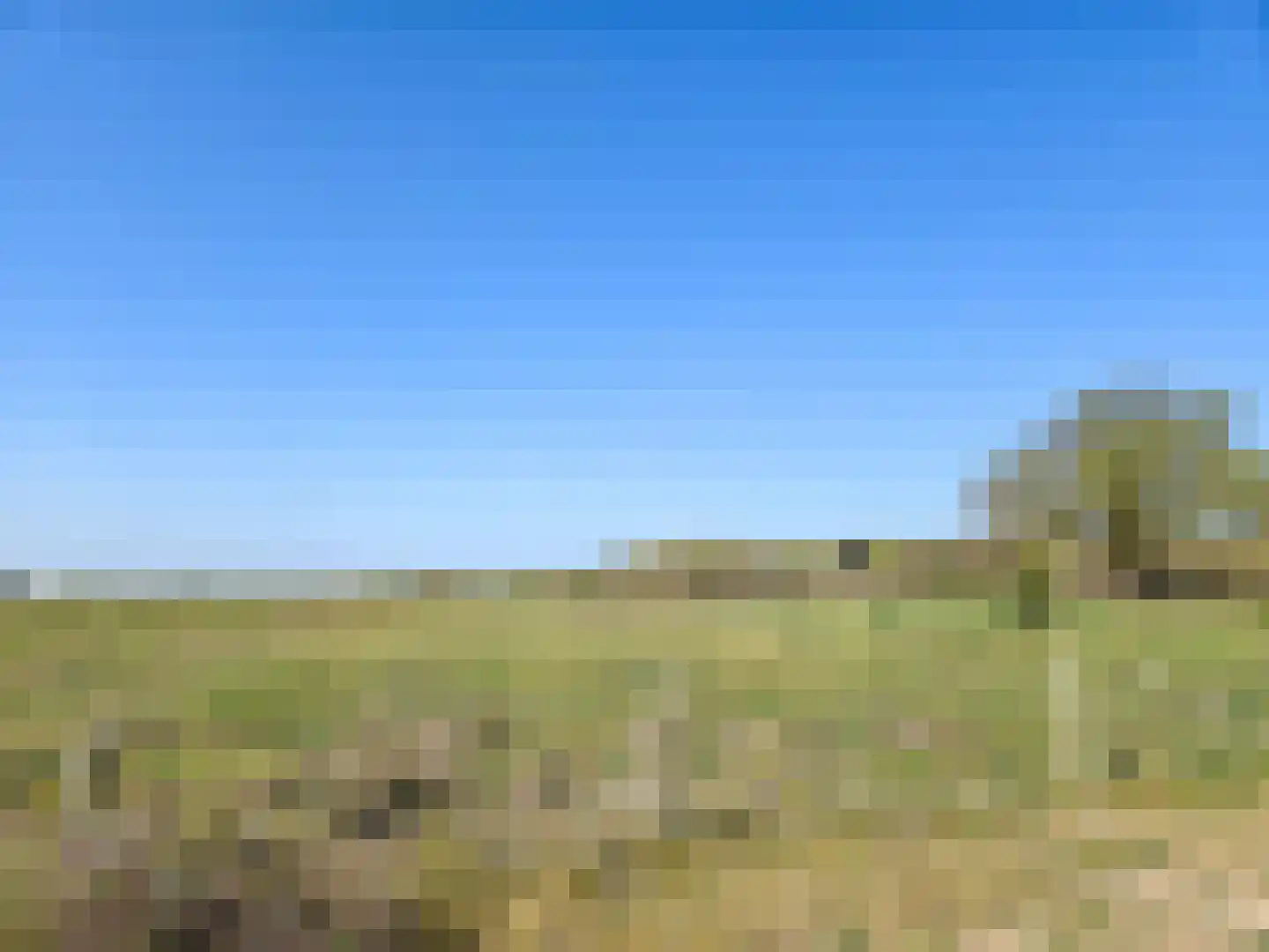 Duinweg 8 Renesse thumbnail 47